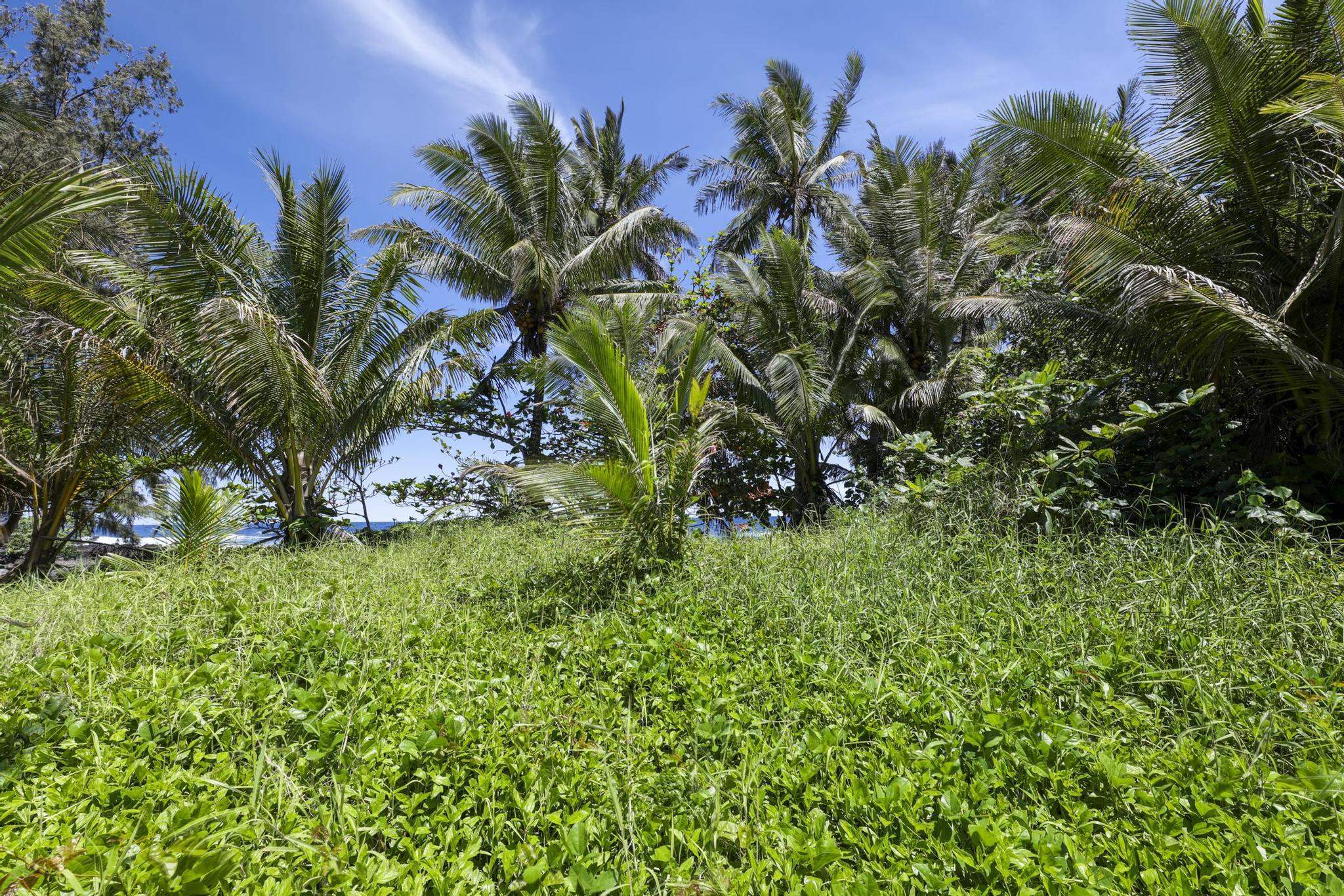 Keanae Rd Property Photo 26