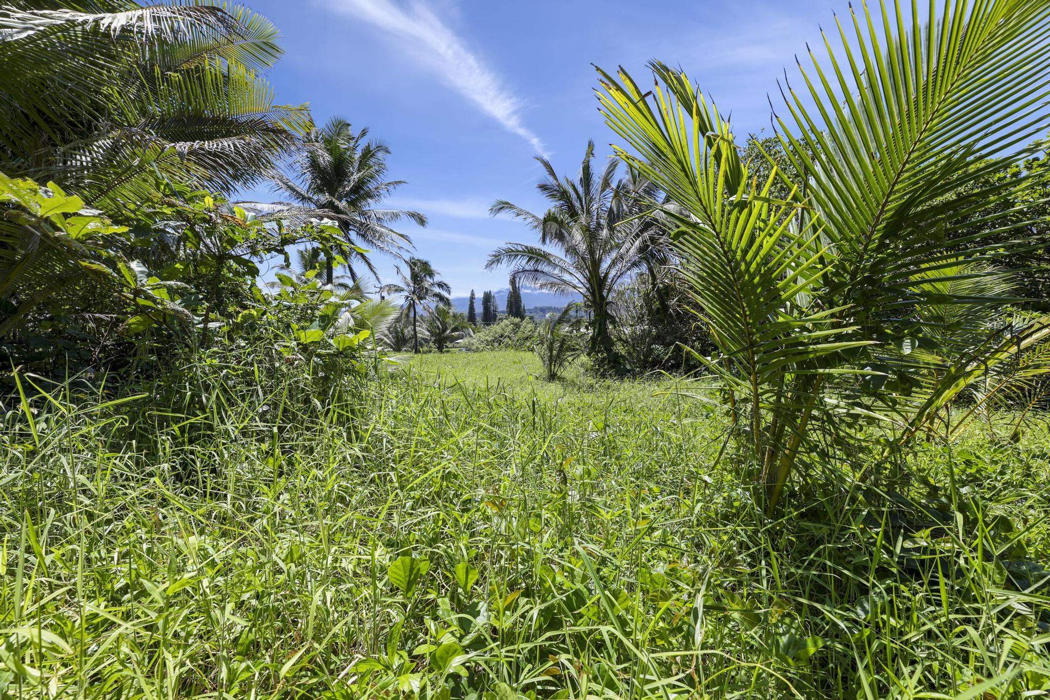 Keanae Rd Property Photo 27
