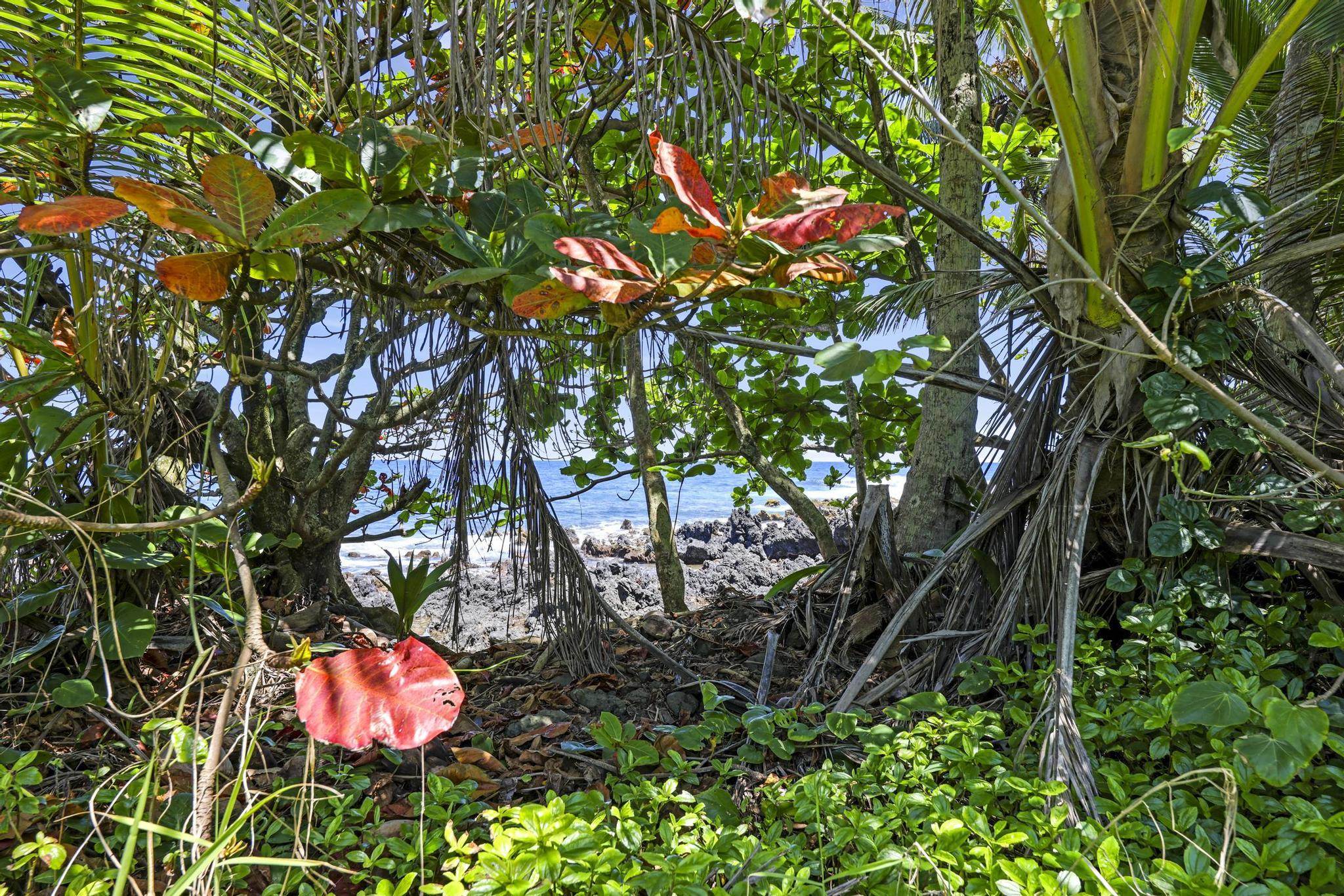 Keanae Rd Property Photo 28