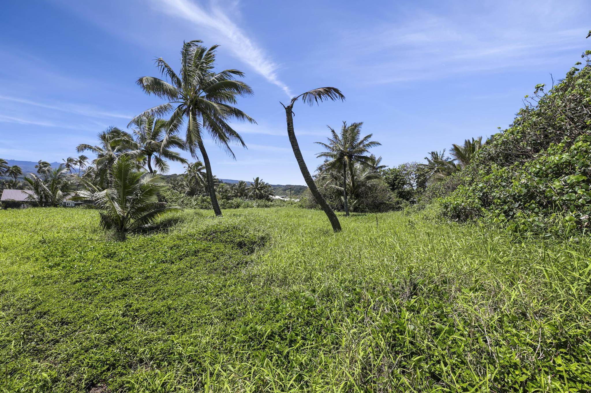 Keanae Rd Property Photo 29