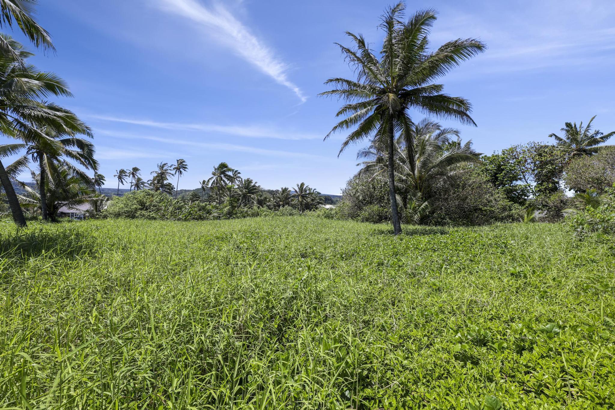 Keanae Rd Property Photo 31