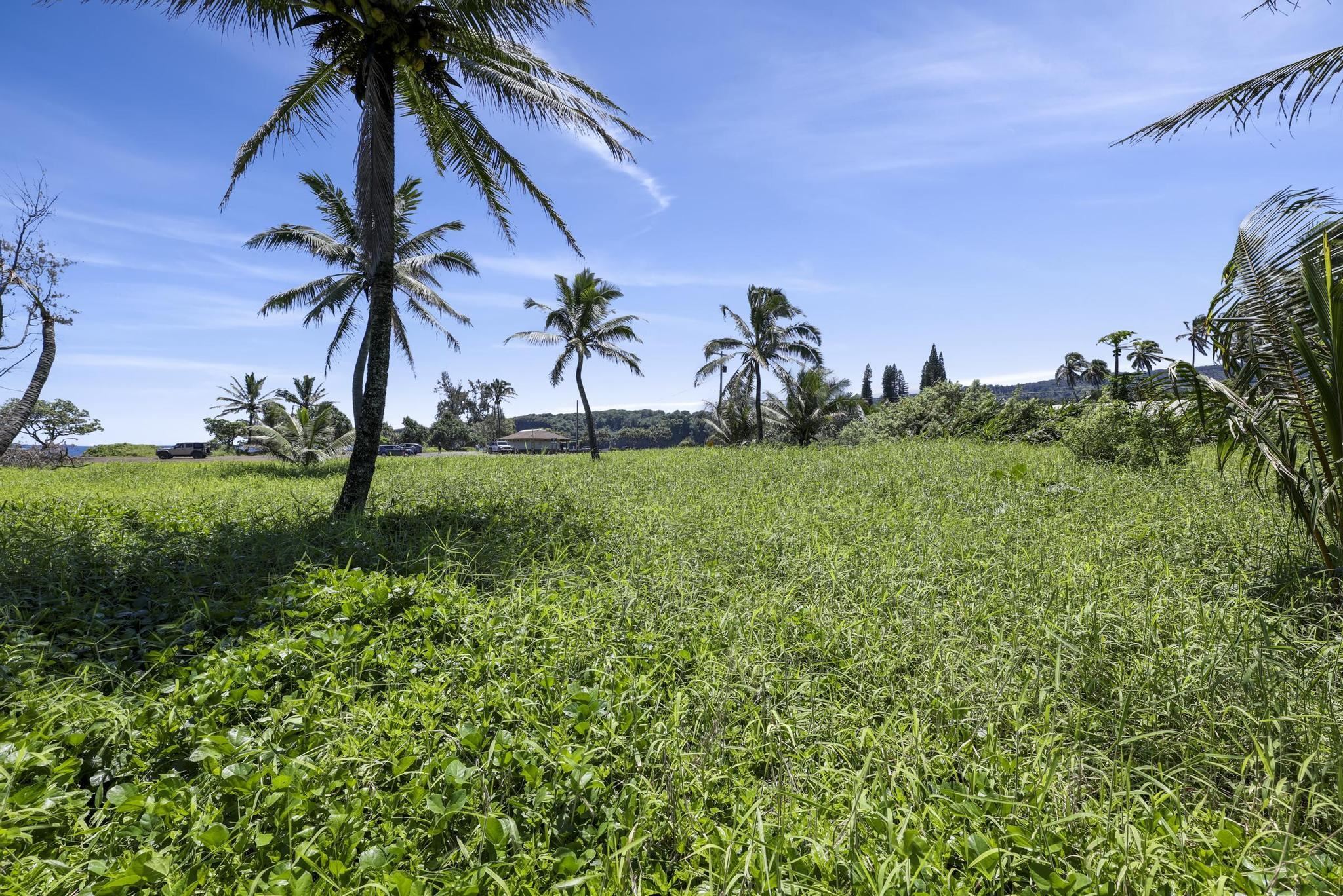 Keanae Rd Property Photo 36