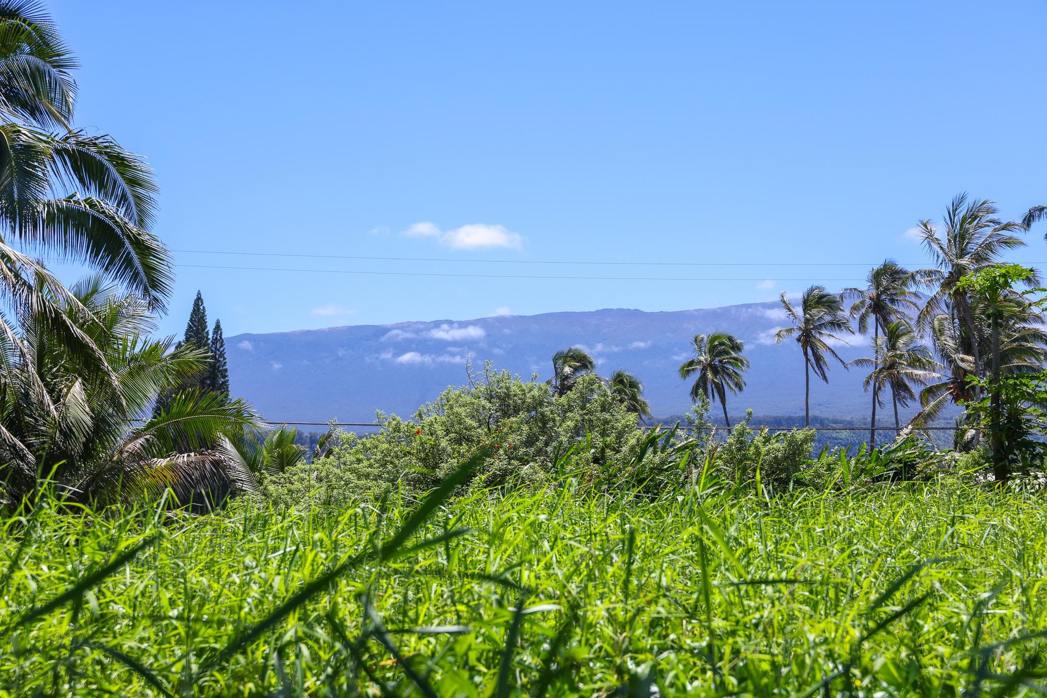 Keanae Rd Property Photo 38