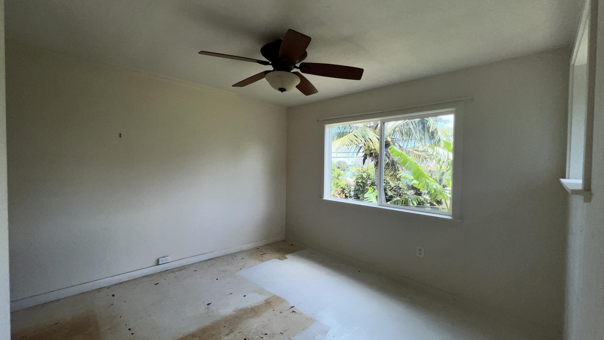 579 Kuanana St Property Photo 17