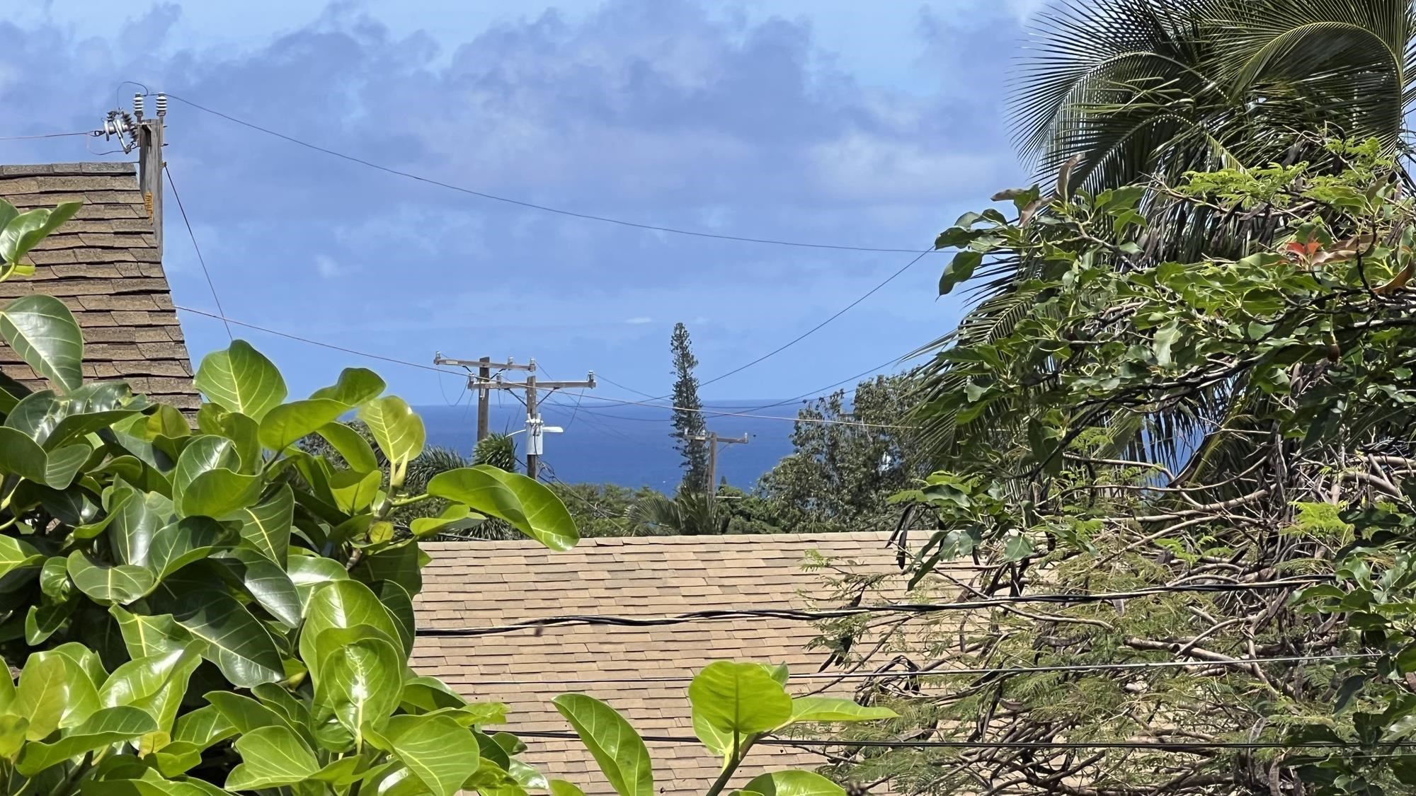579 Kuanana St Property Photo 30