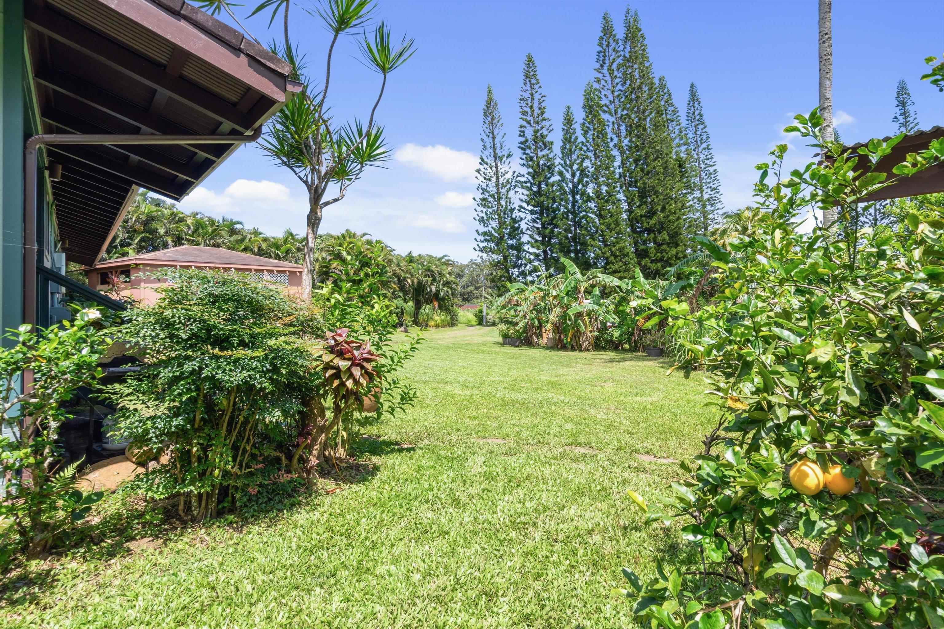 145 S Holokai Rd Property Photo 43