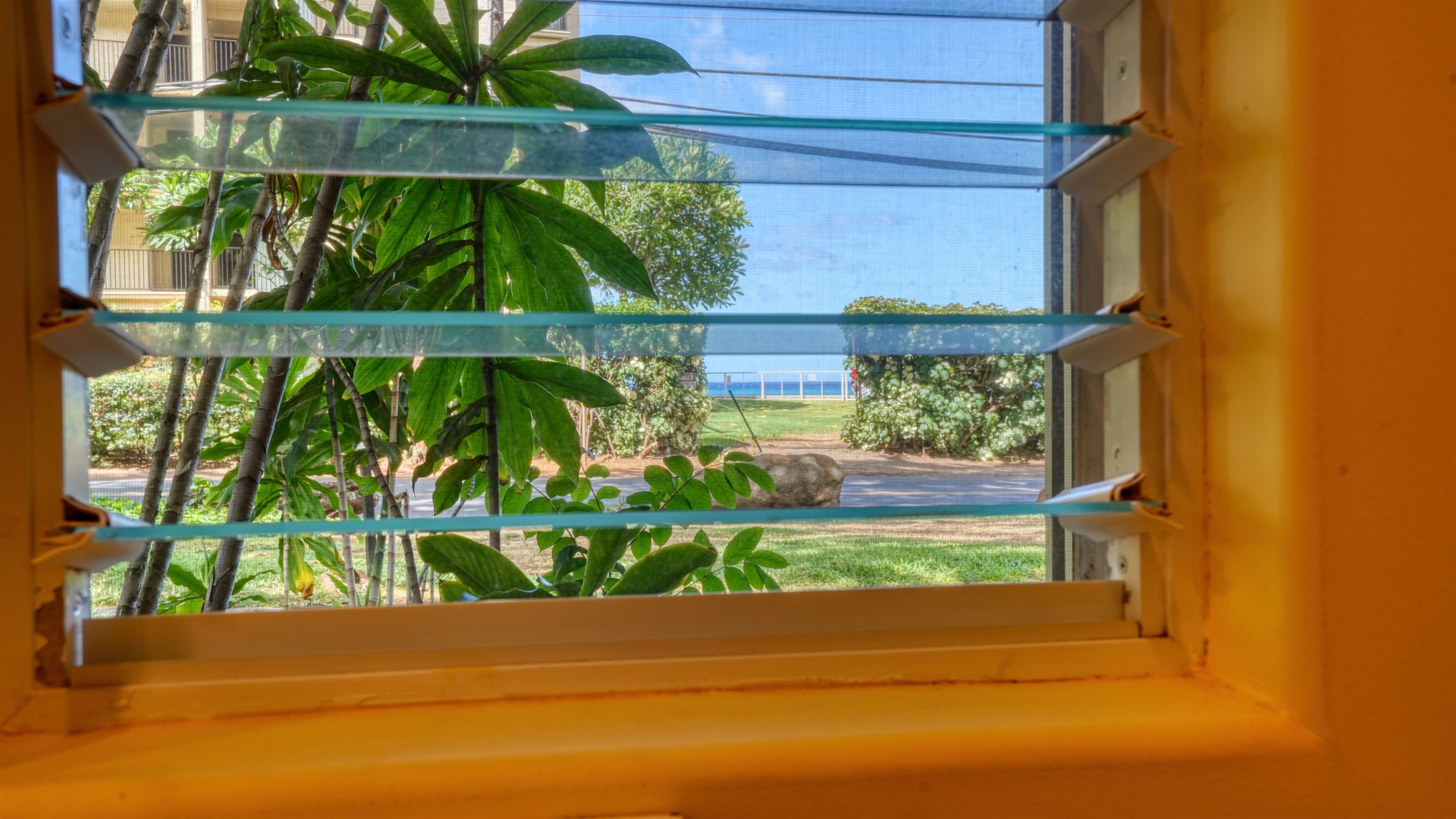 4435 Lower Honoapiilani Property Photo 47