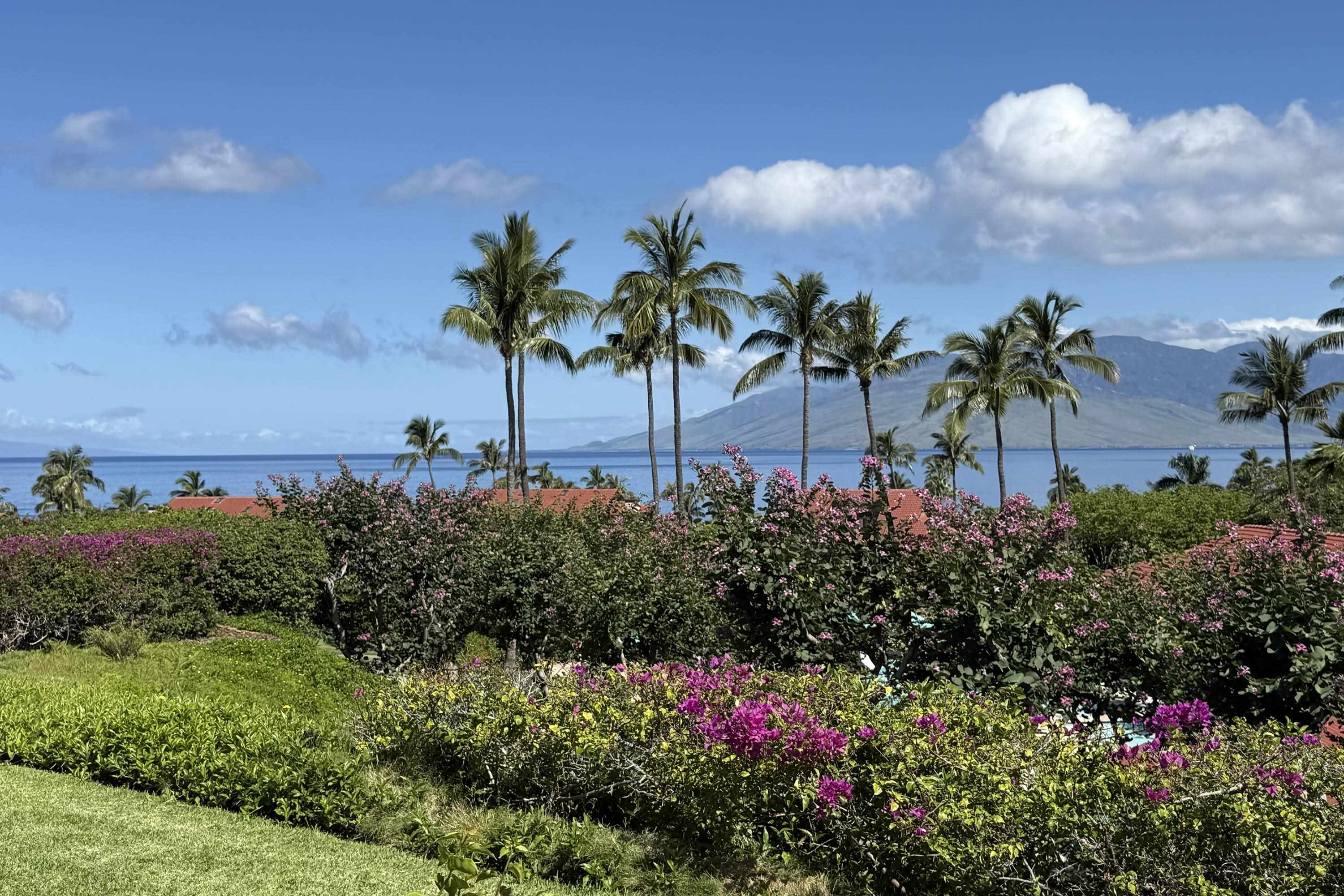 4000 Wailea Alanui Dr Property Photo 1