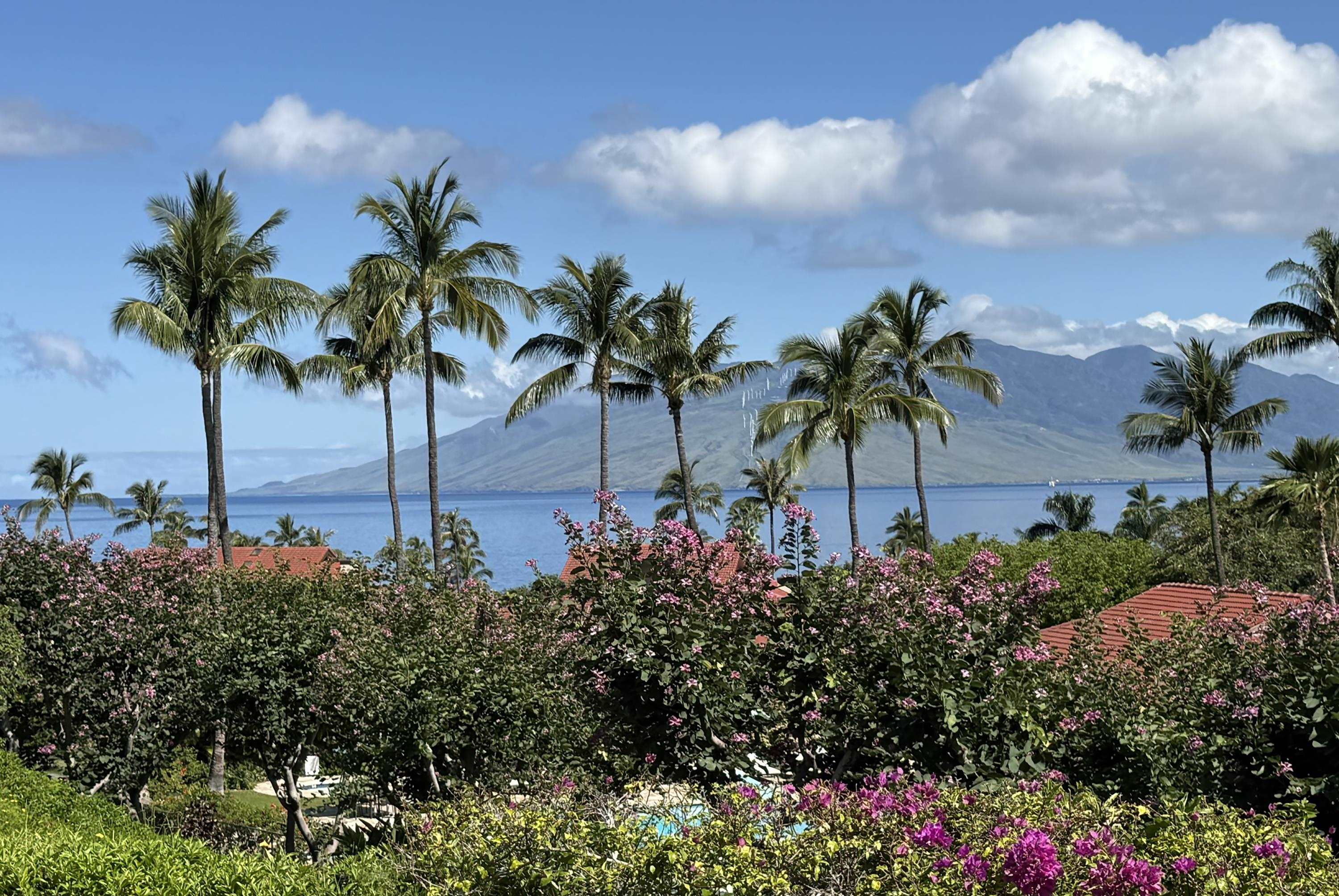 4000 Wailea Alanui Dr Property Photo 7