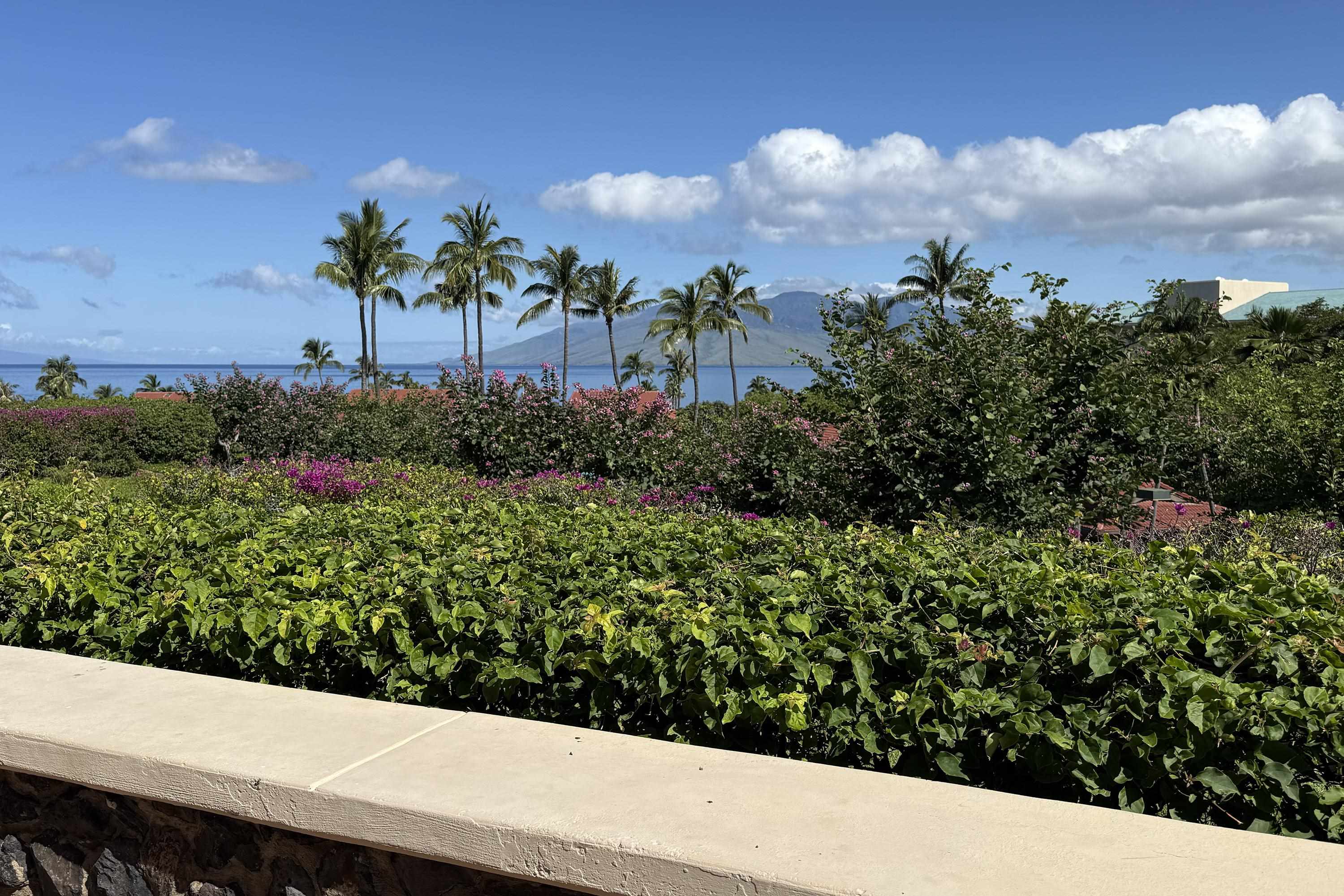 4000 Wailea Alanui Dr Property Photo 33