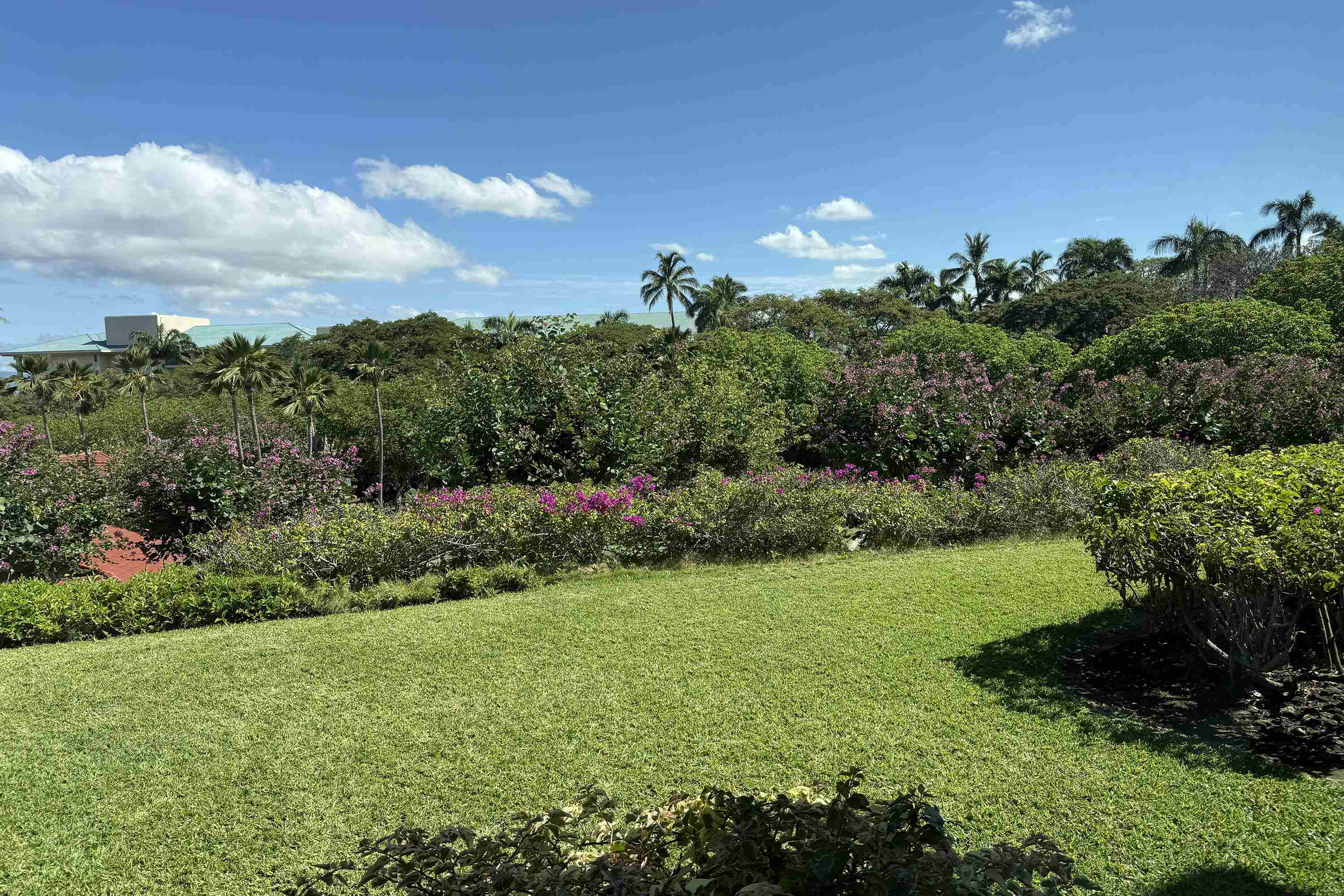4000 Wailea Alanui Dr Property Photo 34