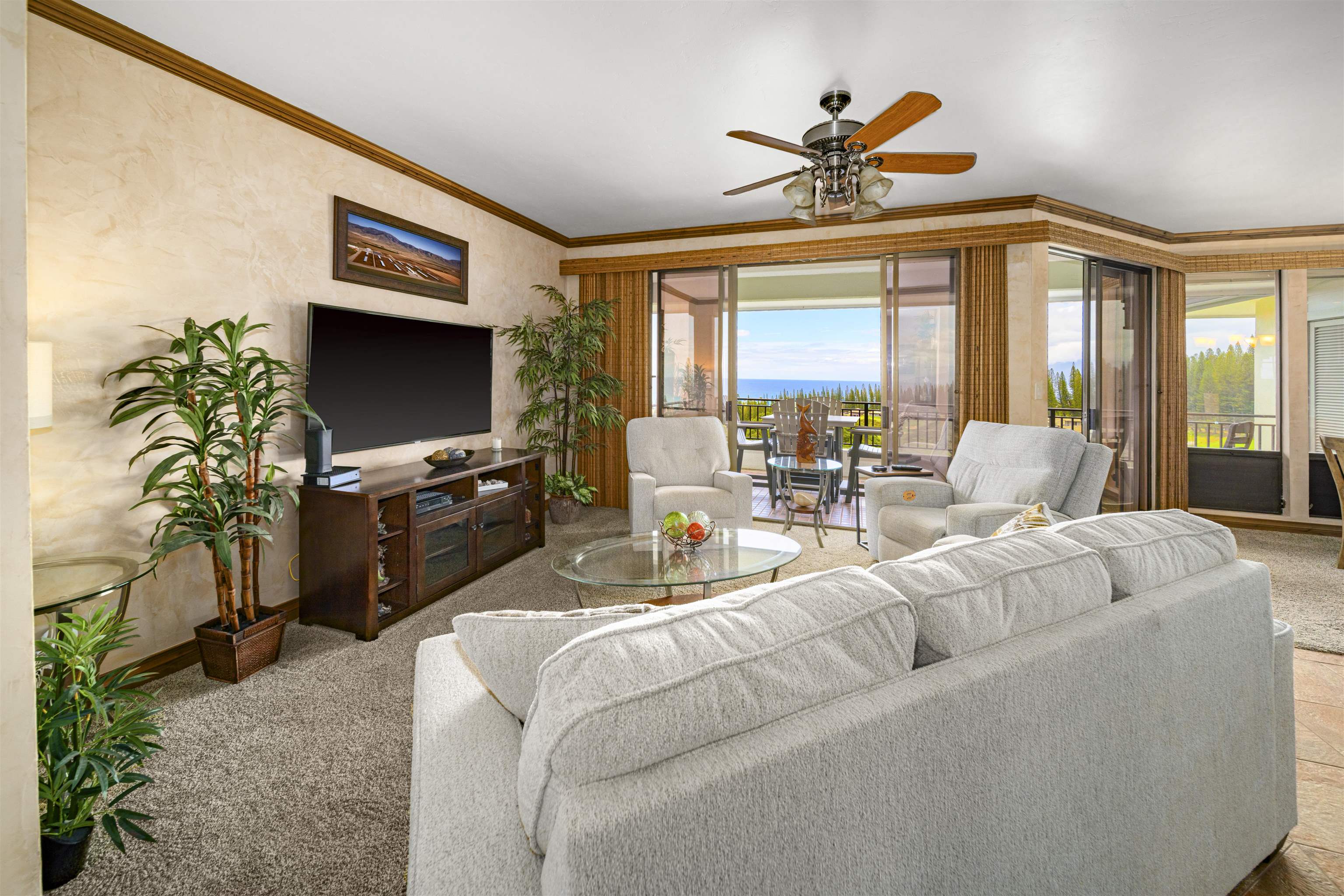 500 Kapalua Dr Property Photo 6