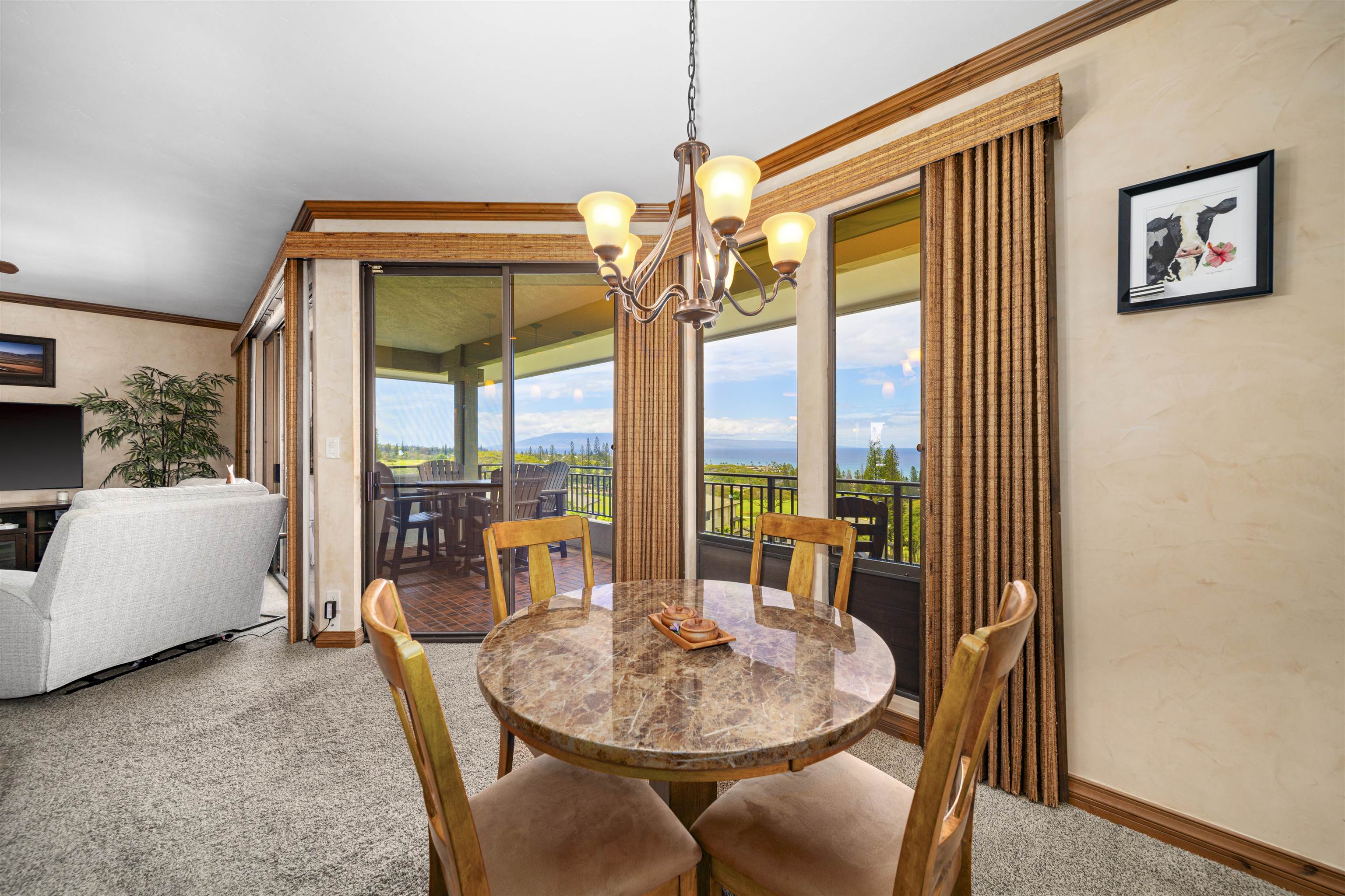 500 Kapalua Dr Property Photo 11