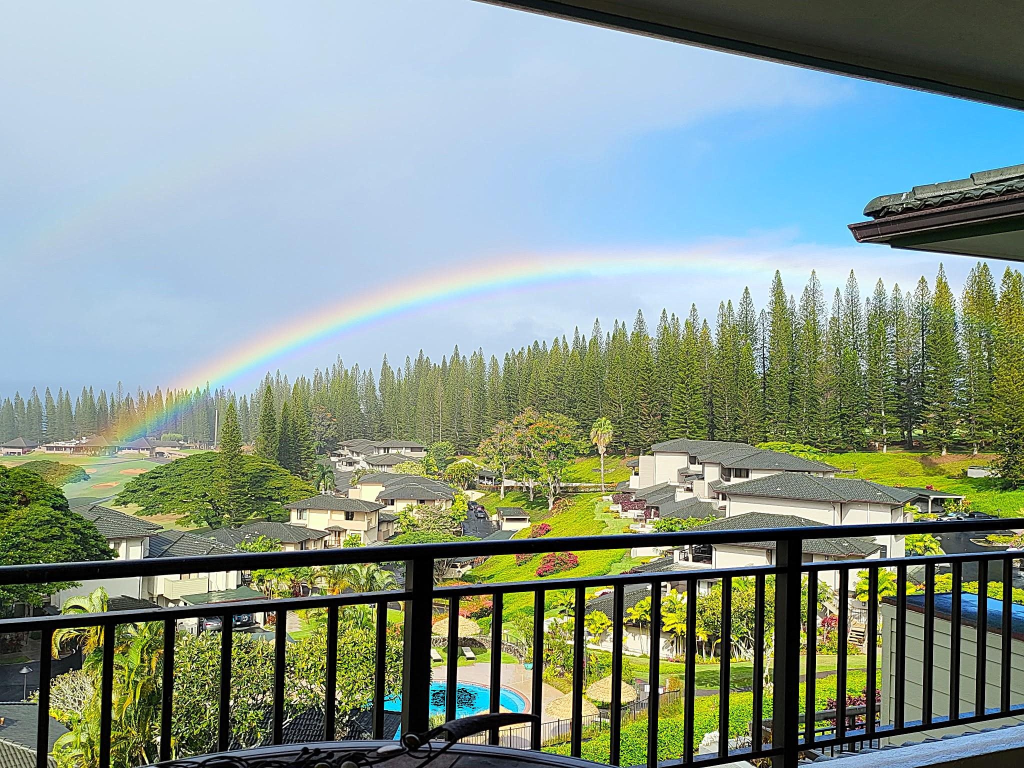500 Kapalua Dr Property Photo 39