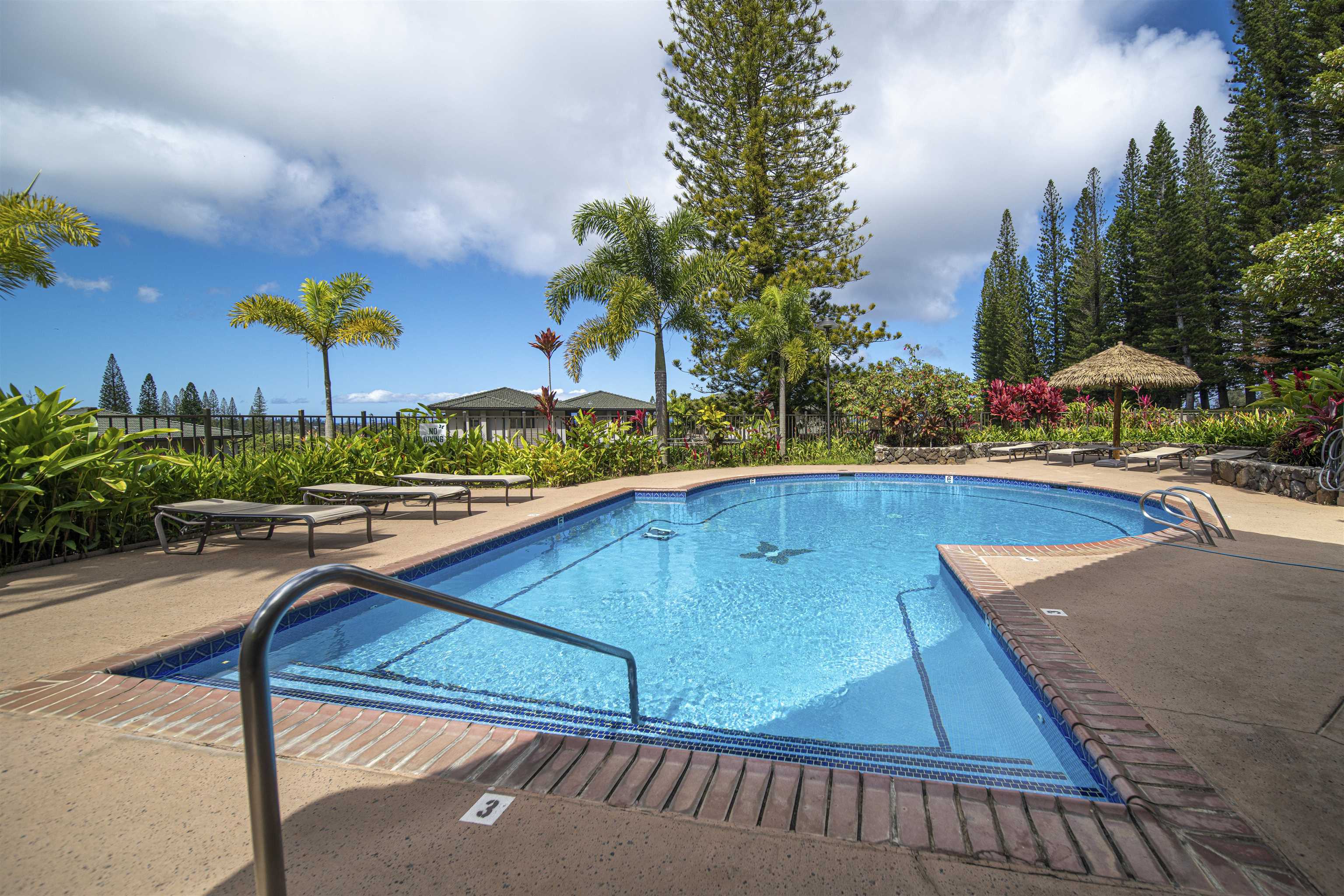 500 Kapalua Dr Property Photo 46