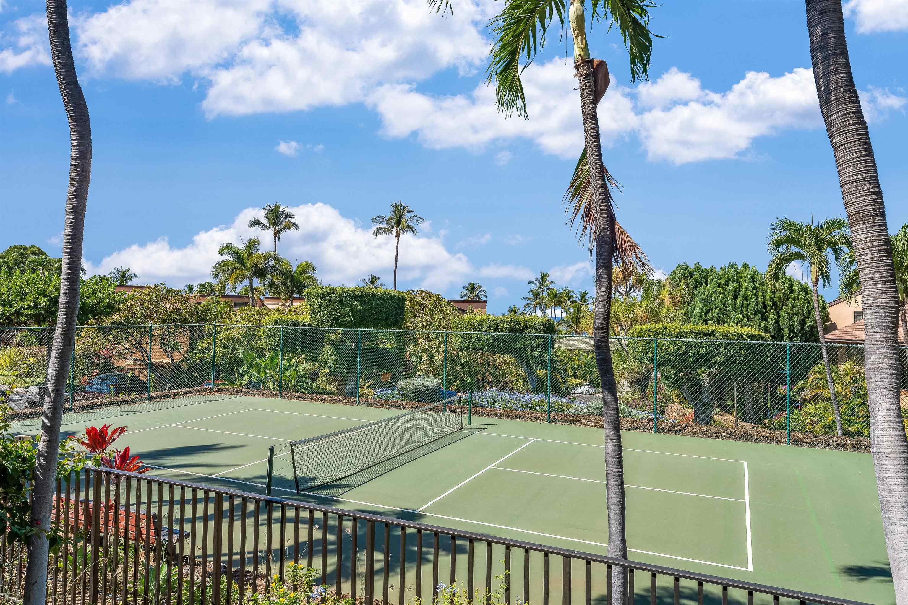 3300 Wailea Alanui Dr Property Photo 38