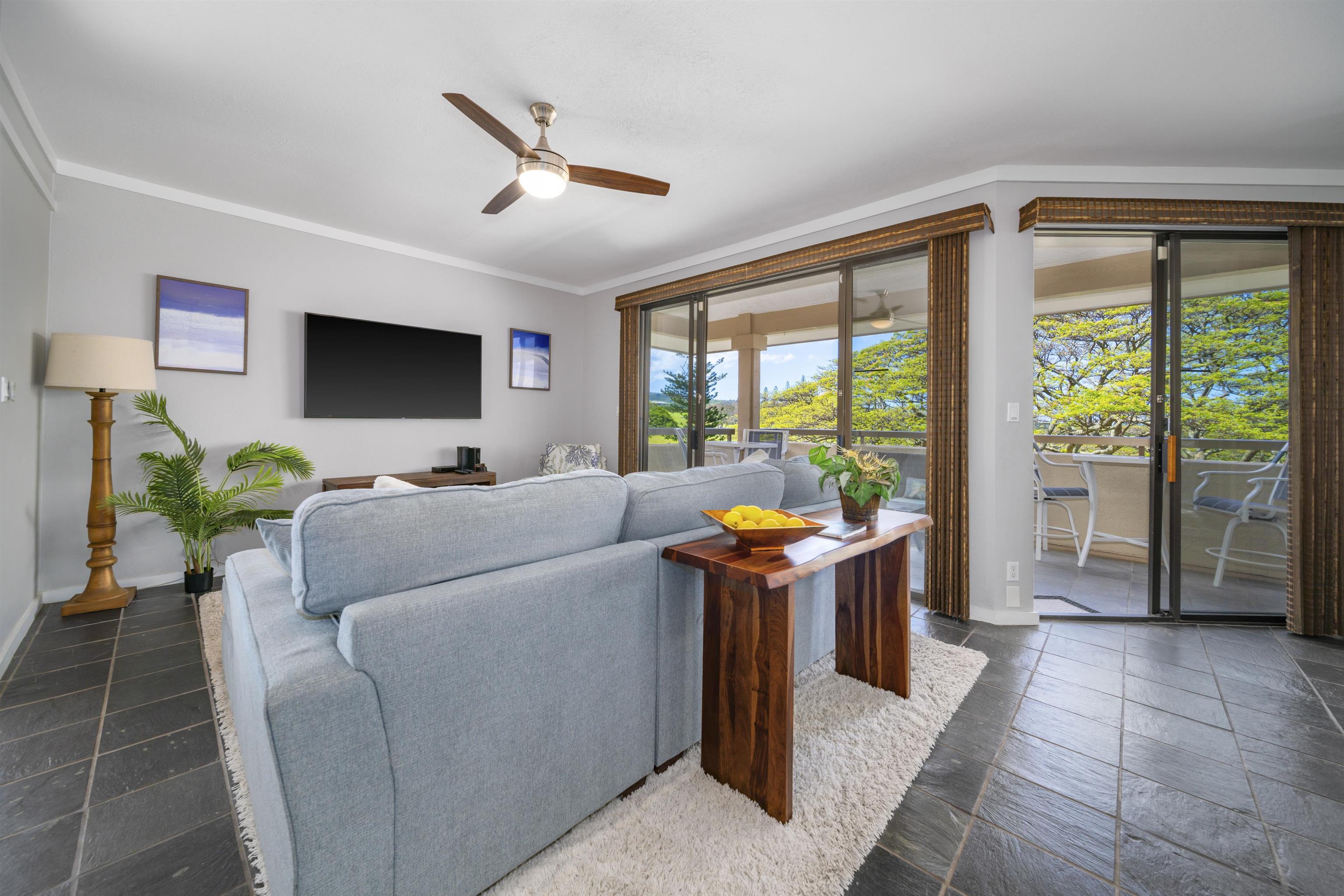 500 Kapalua Dr Property Photo 3