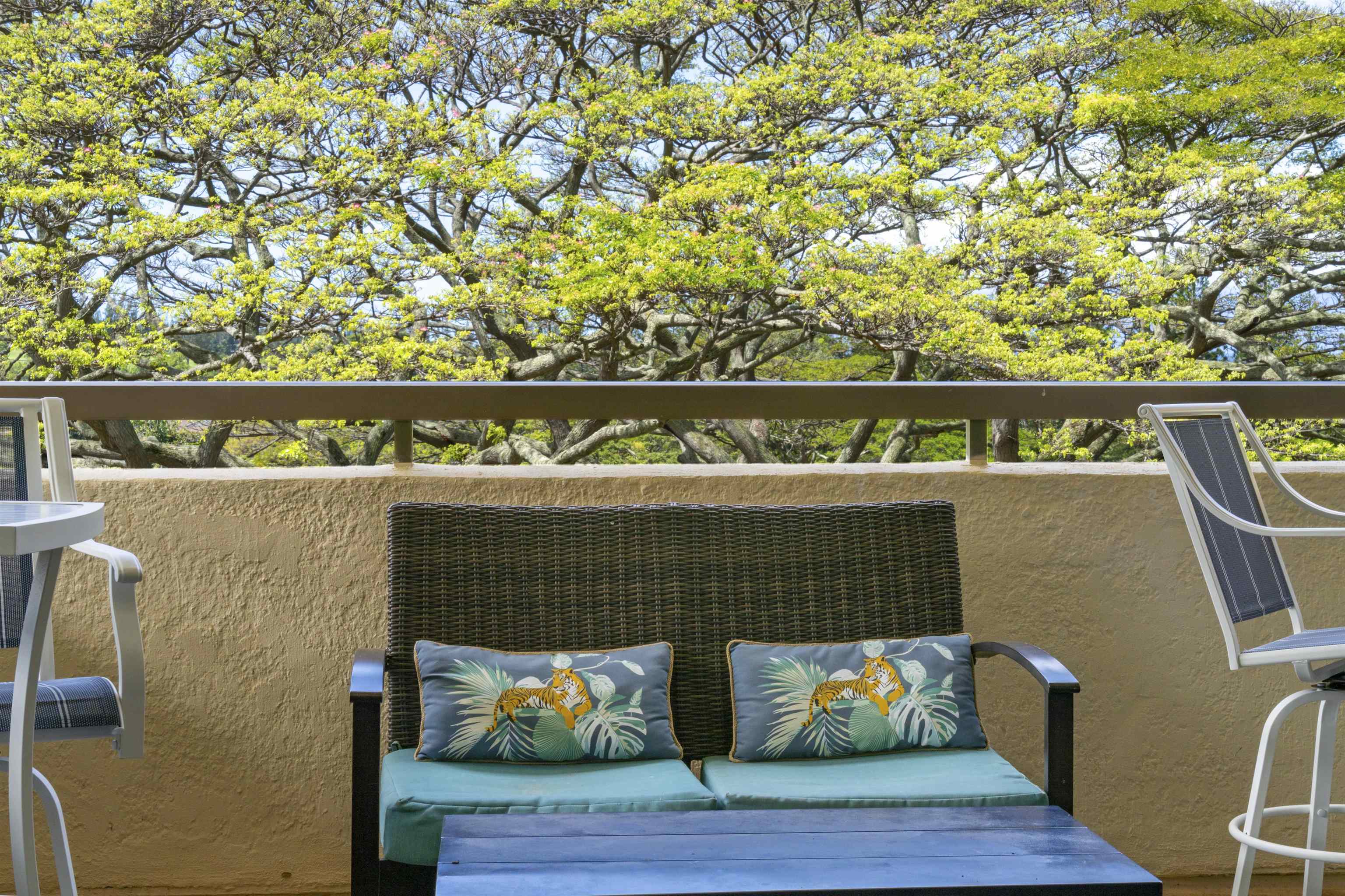 500 Kapalua Dr Property Photo 20