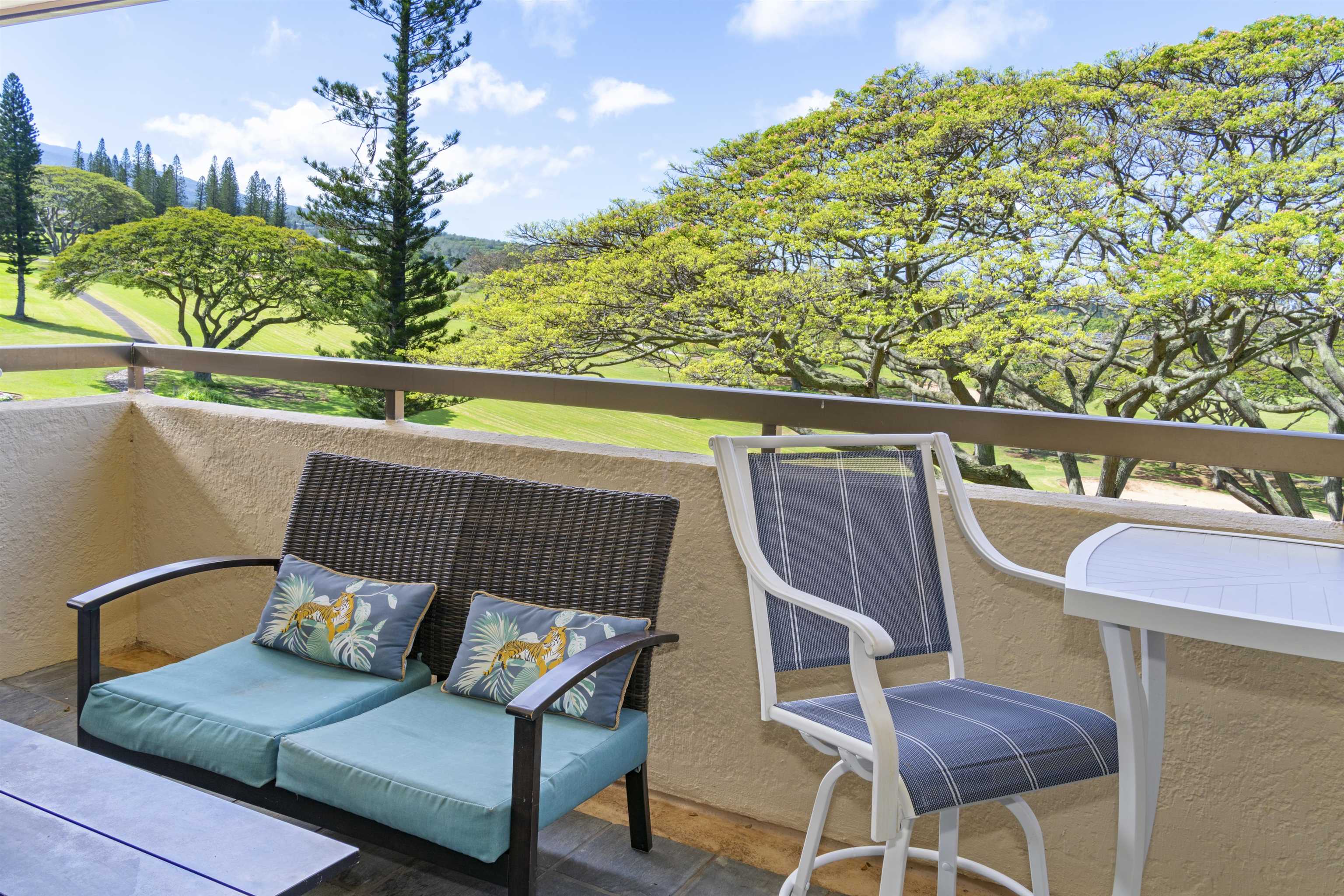 500 Kapalua Dr Property Photo 21