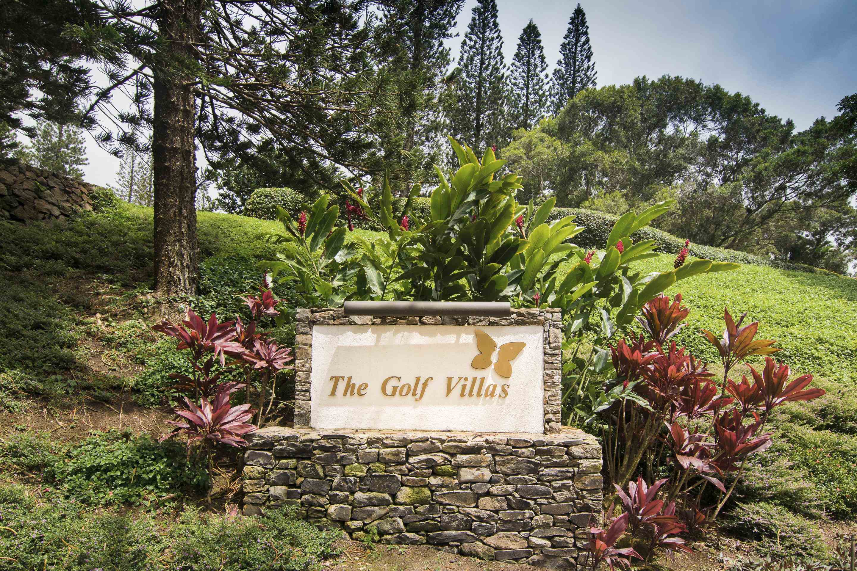 500 Kapalua Dr Property Photo 37