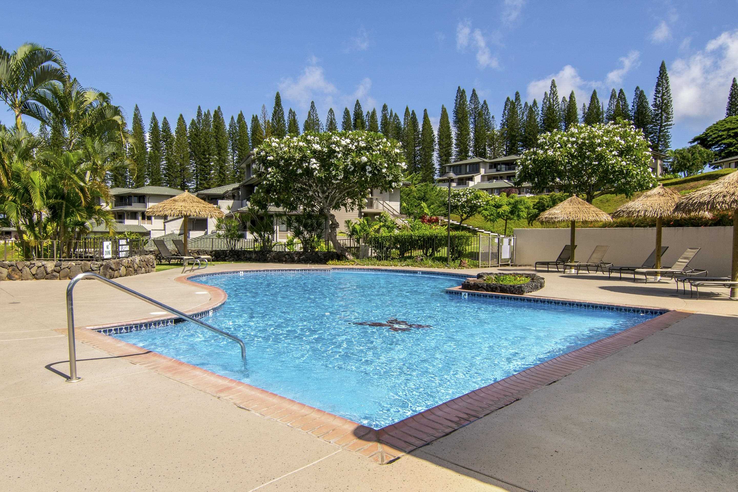 500 Kapalua Dr Property Photo 39