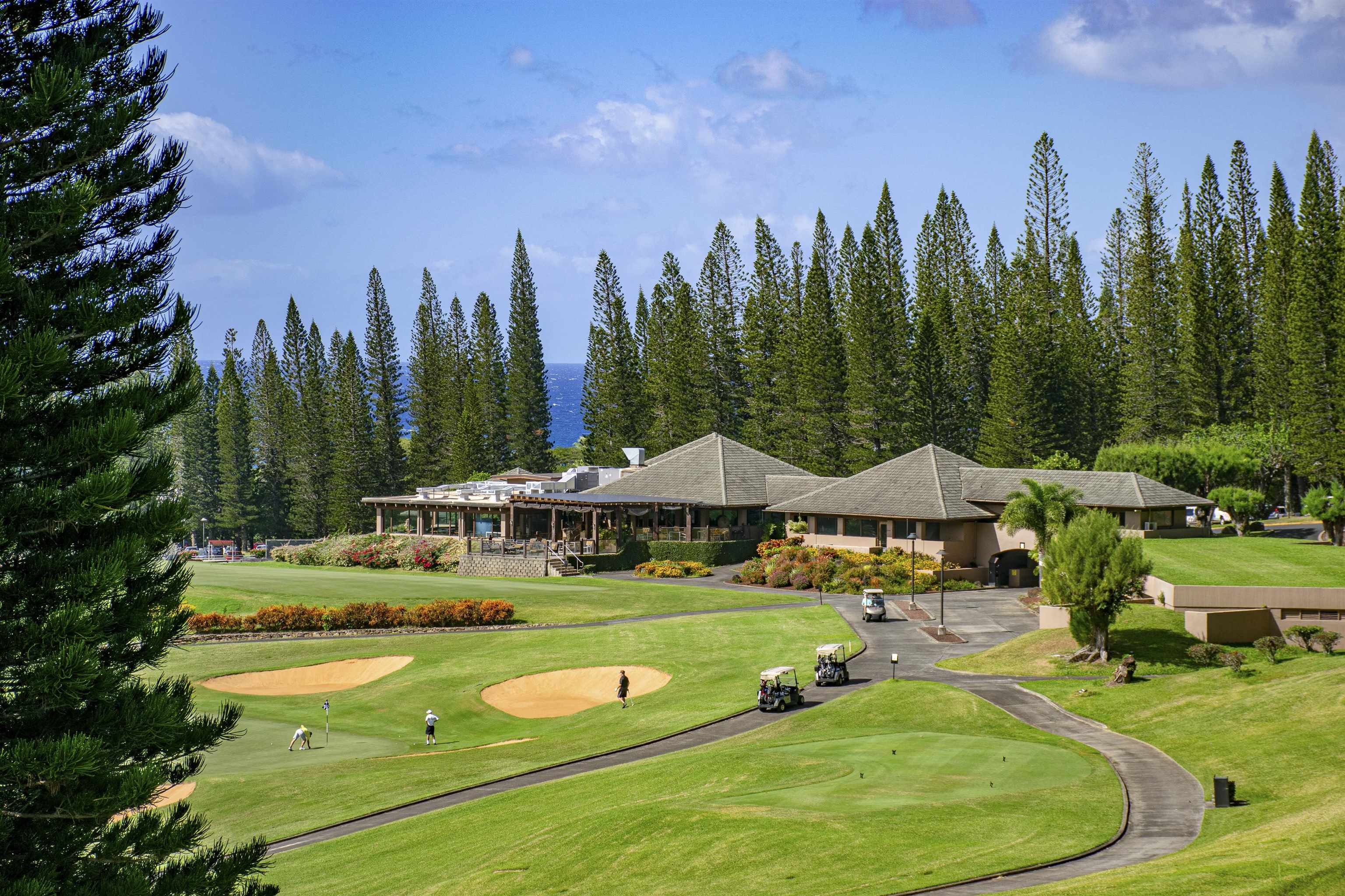 500 Kapalua Dr Property Photo 41