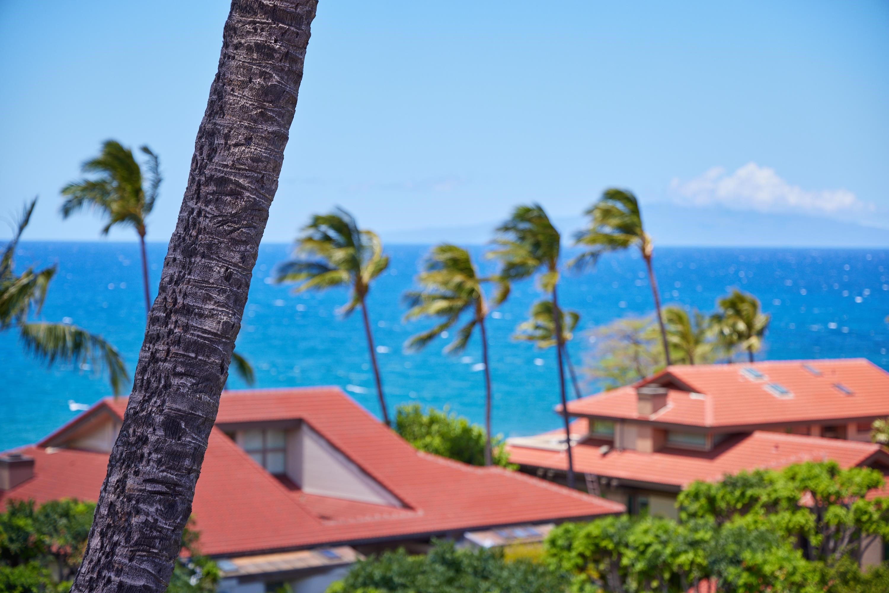 4000 Wailea Alanui Dr Property Photo 40