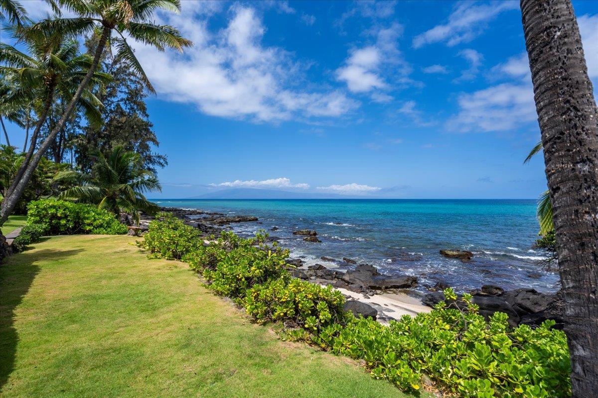 4025 Lower Honoapiilani Rd Property Photo 35