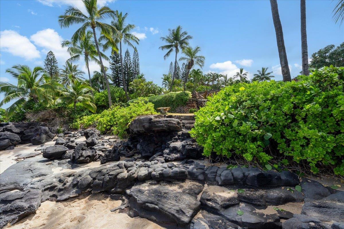 4025 Lower Honoapiilani Rd Property Photo 38