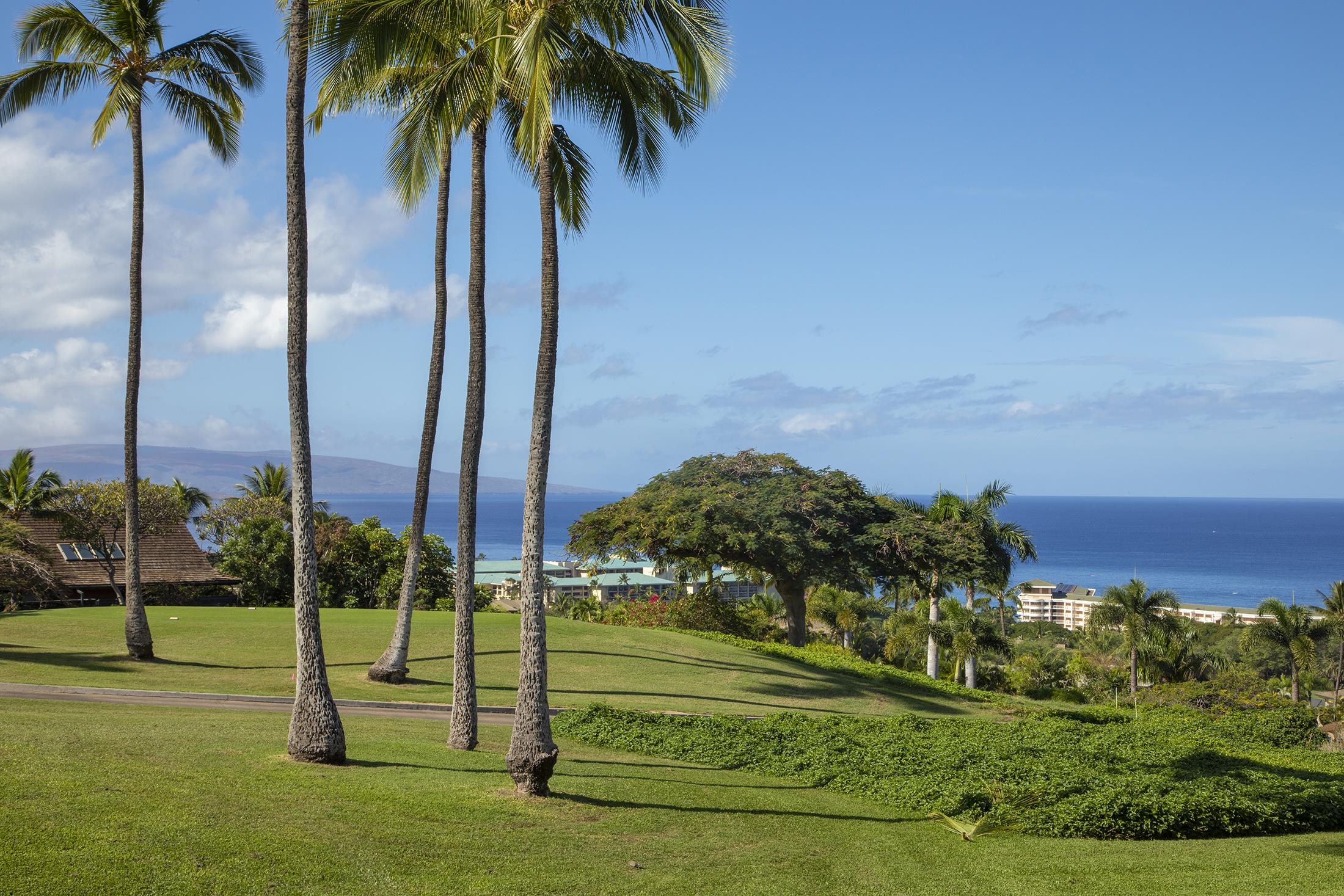 10 Wailea Ekolu Pl Property Photo 30