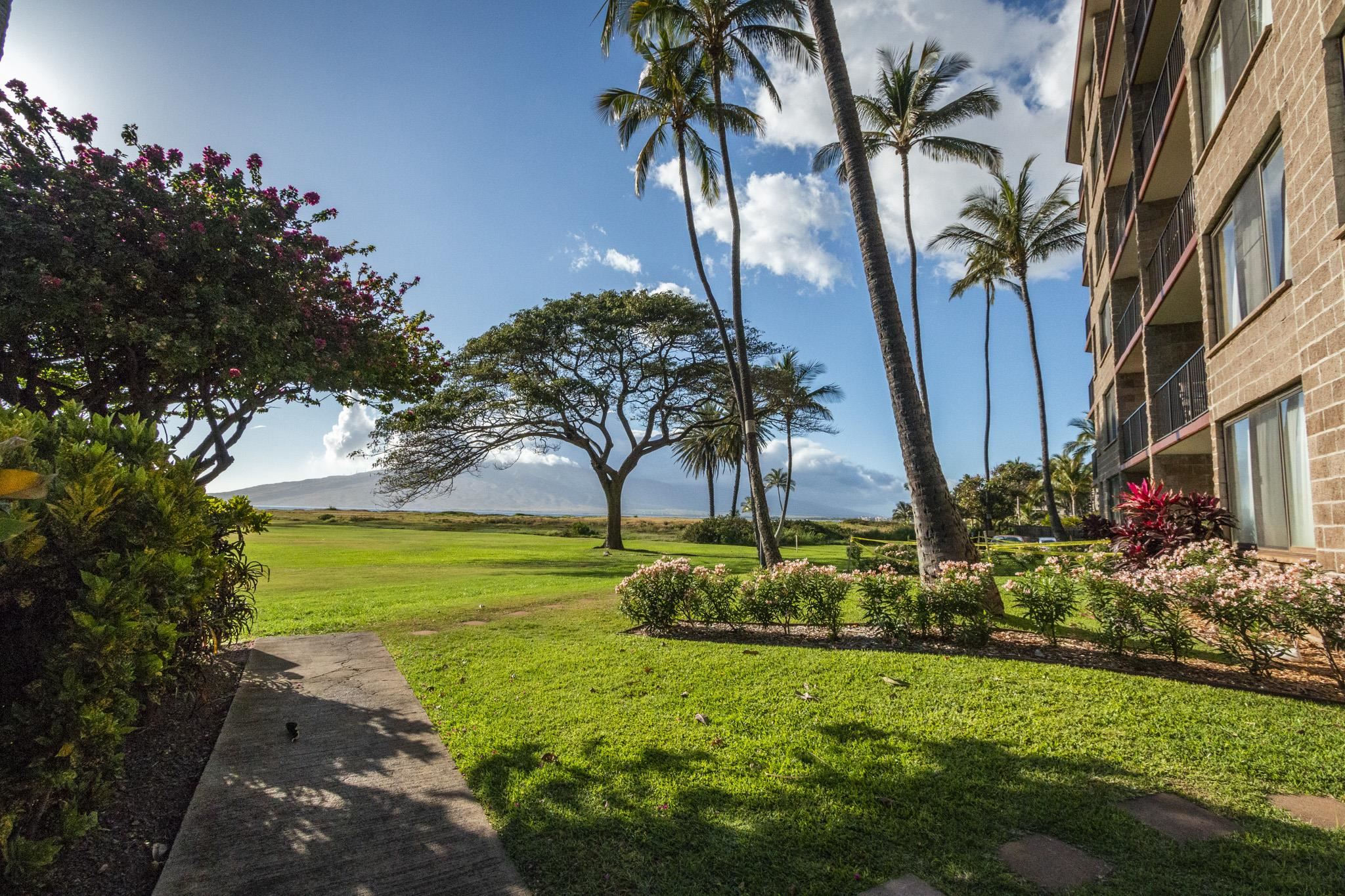 938 S Kihei Rd Property Photo 14