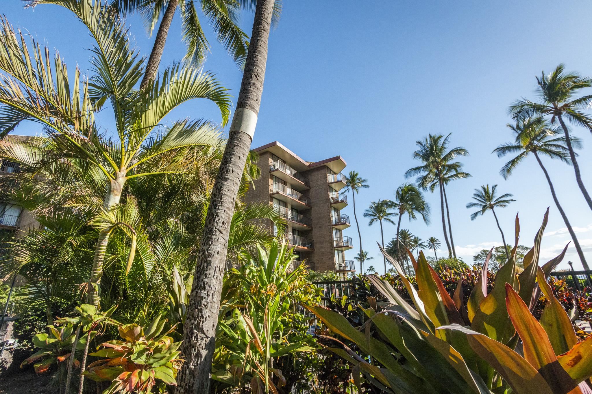 938 S Kihei Rd Property Photo 15