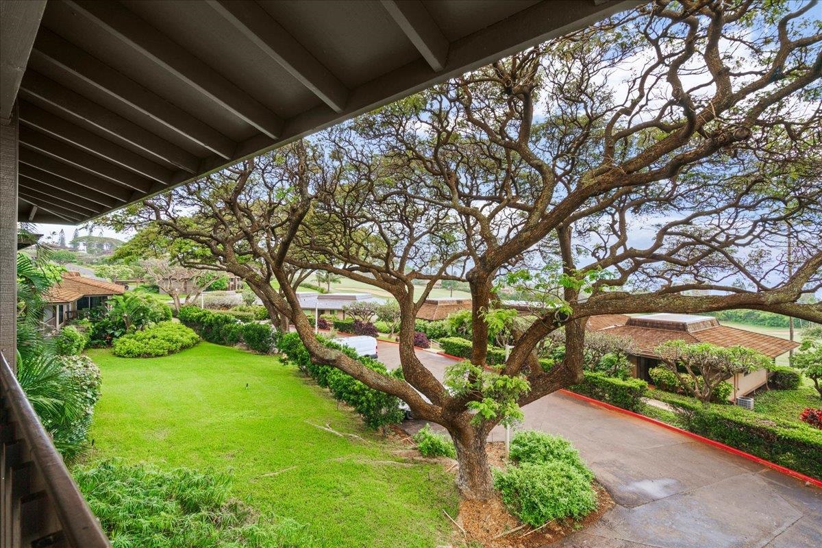 150 Puukolii Rd Property Photo 29
