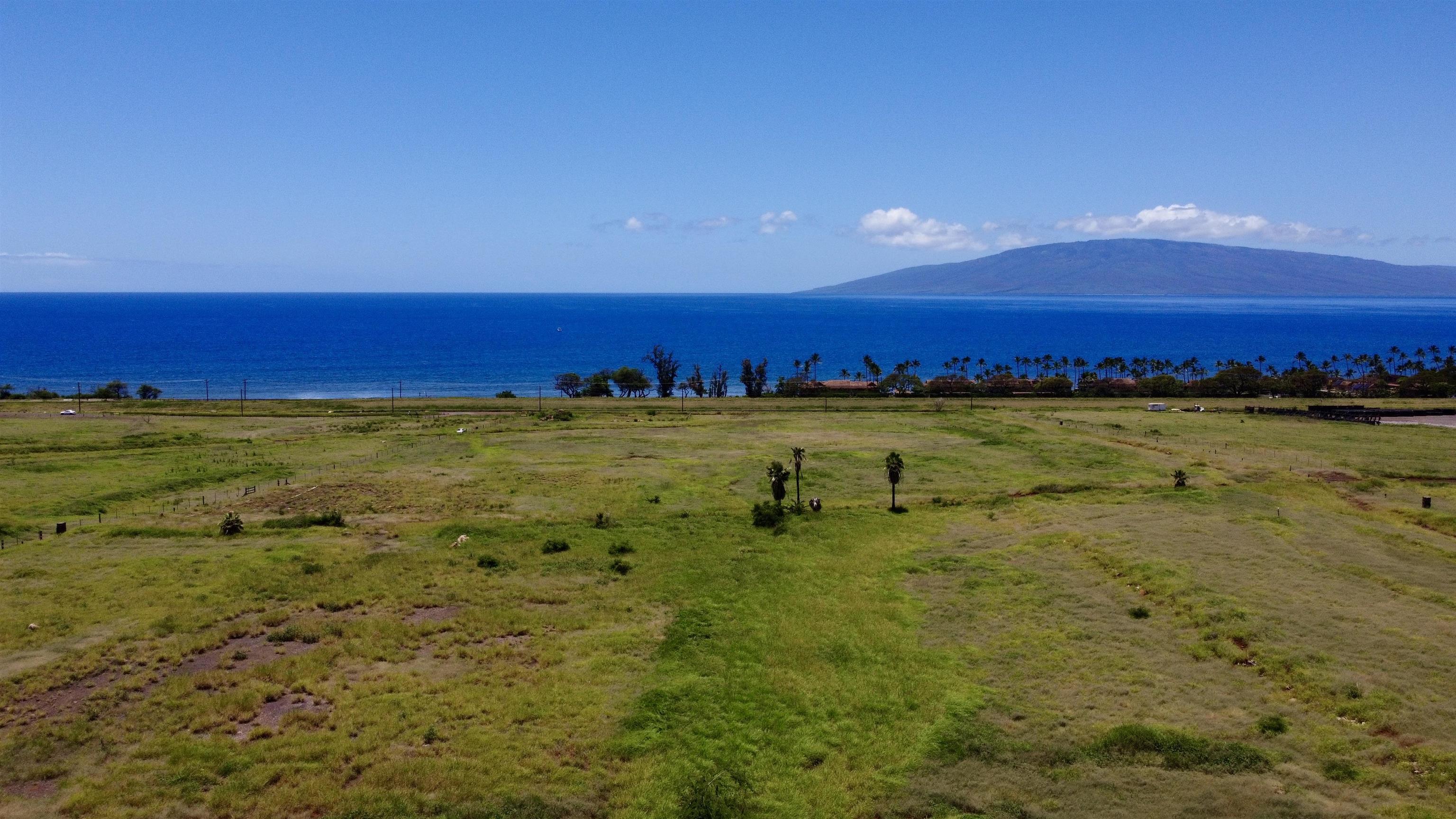 2020 Waianukole St Property Photo 2