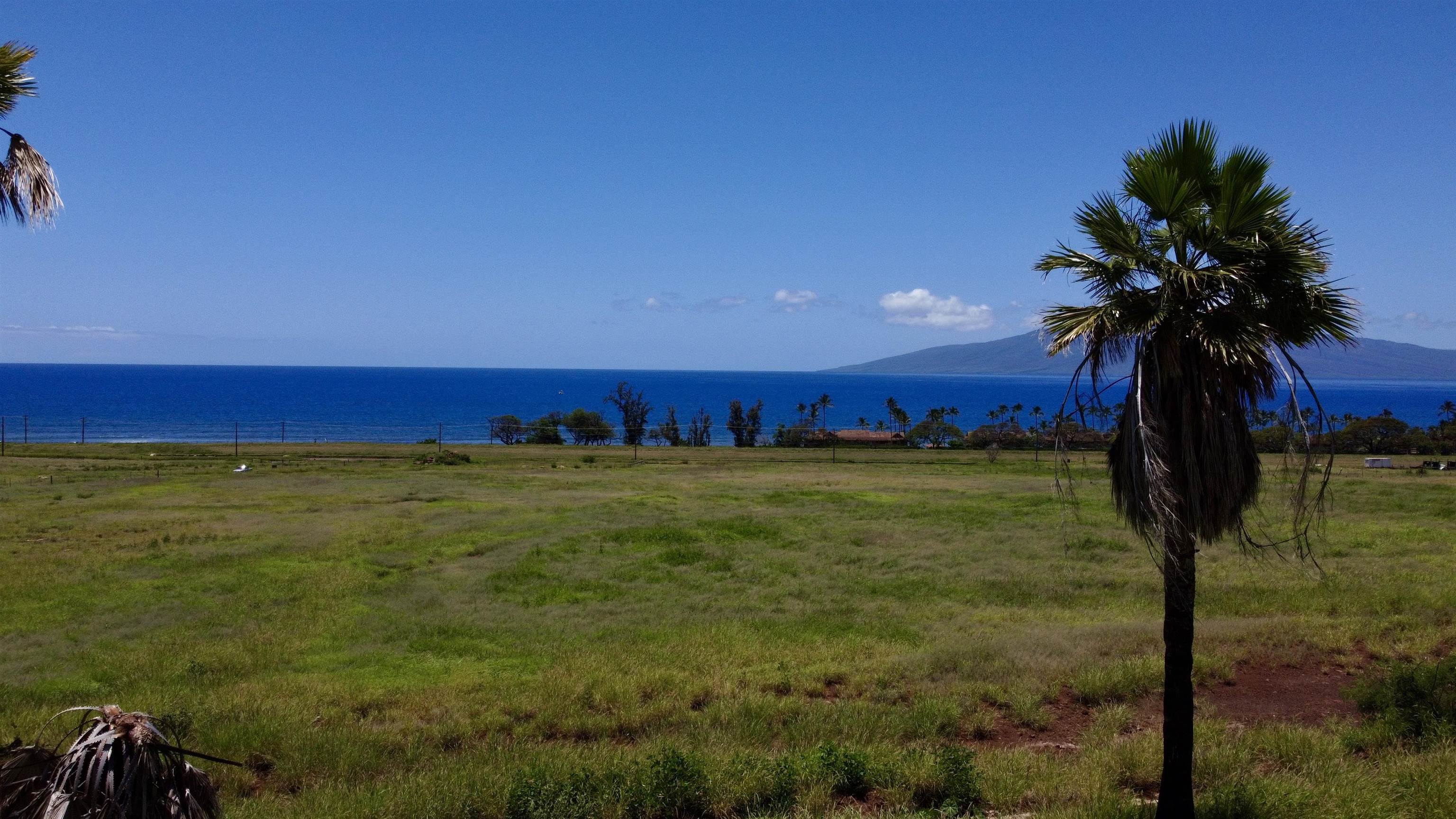 2020 Waianukole St Property Photo 3