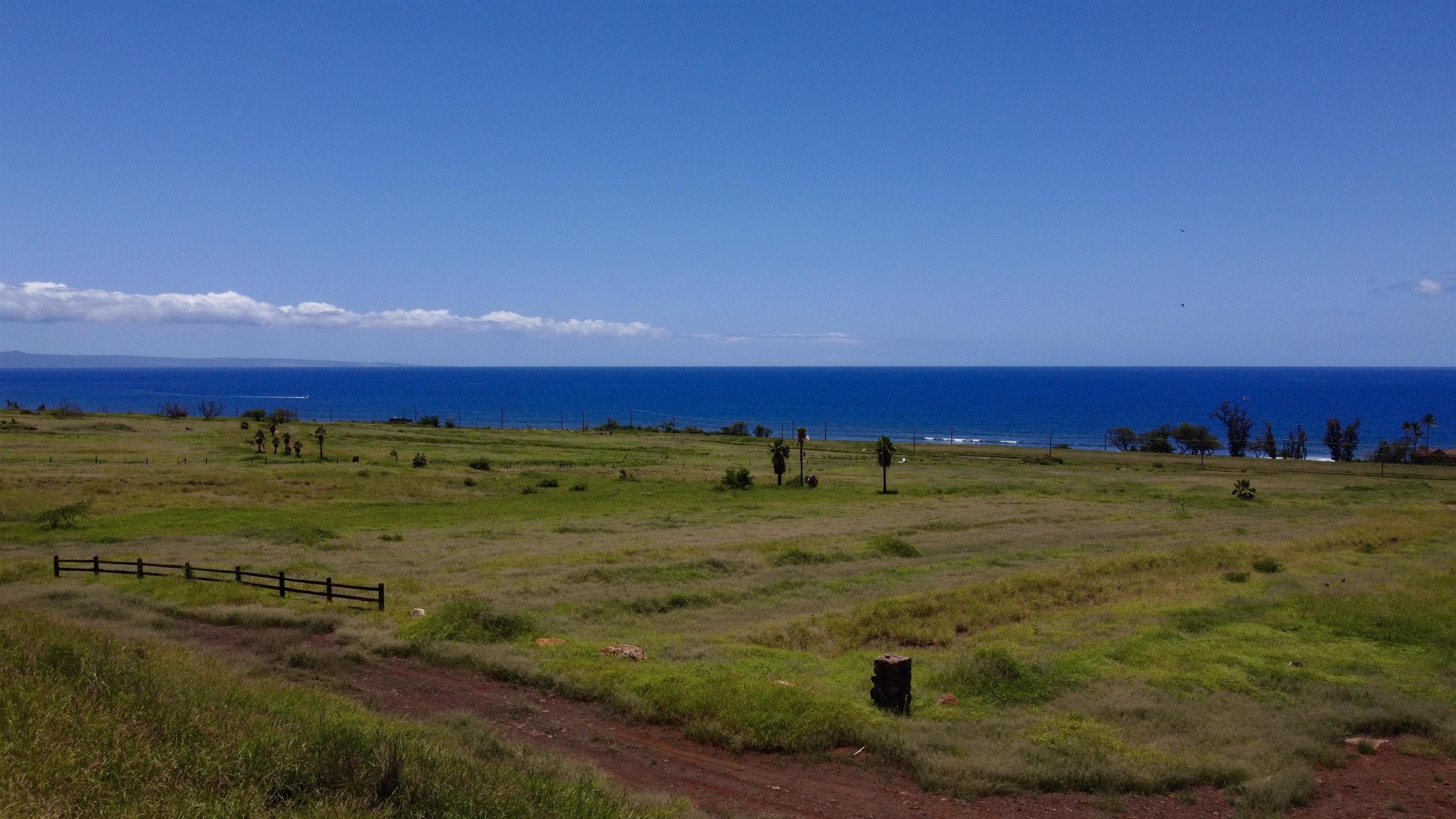 2020 Waianukole St Property Photo 4