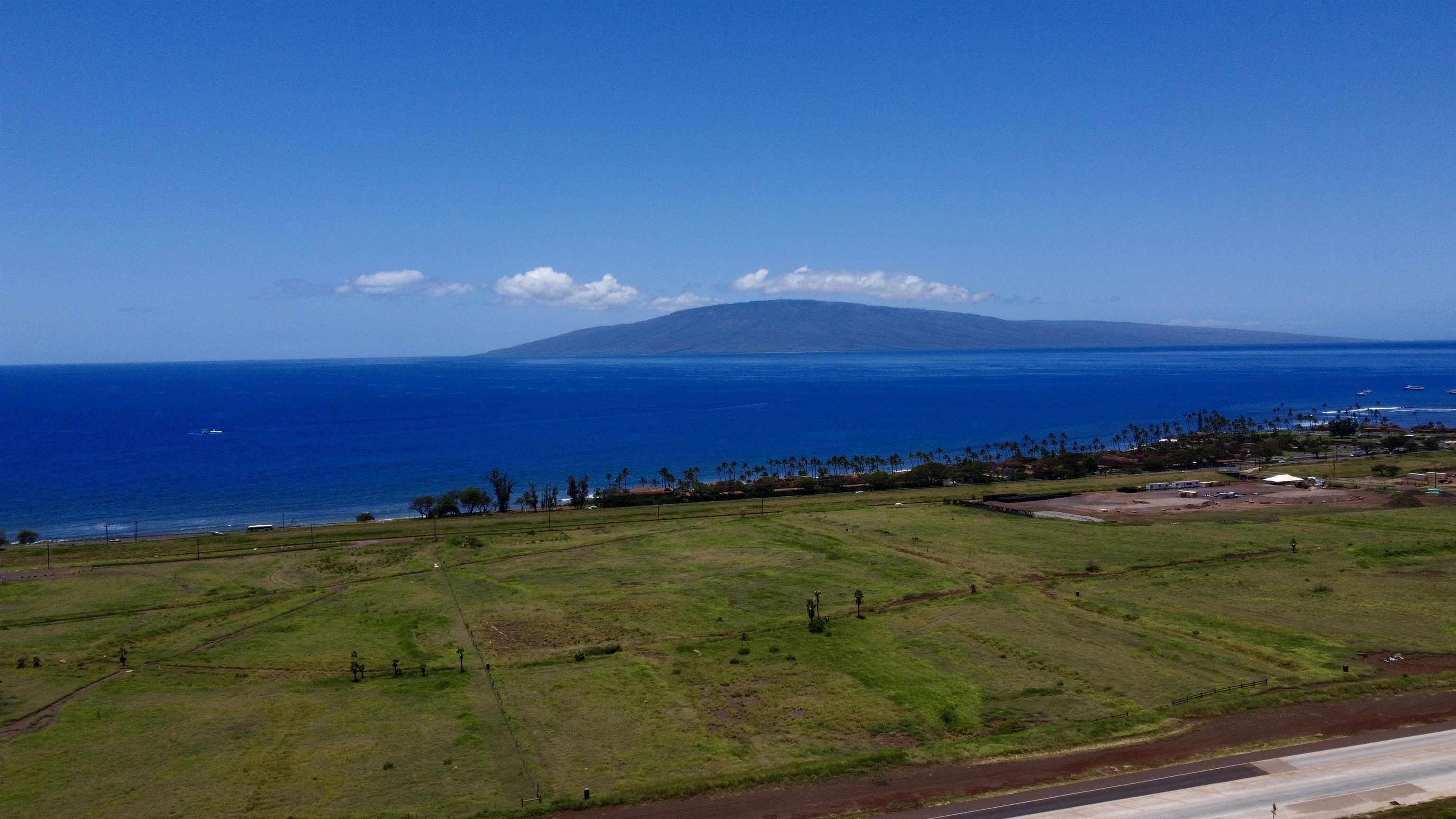 2020 Waianukole St Property Photo 6