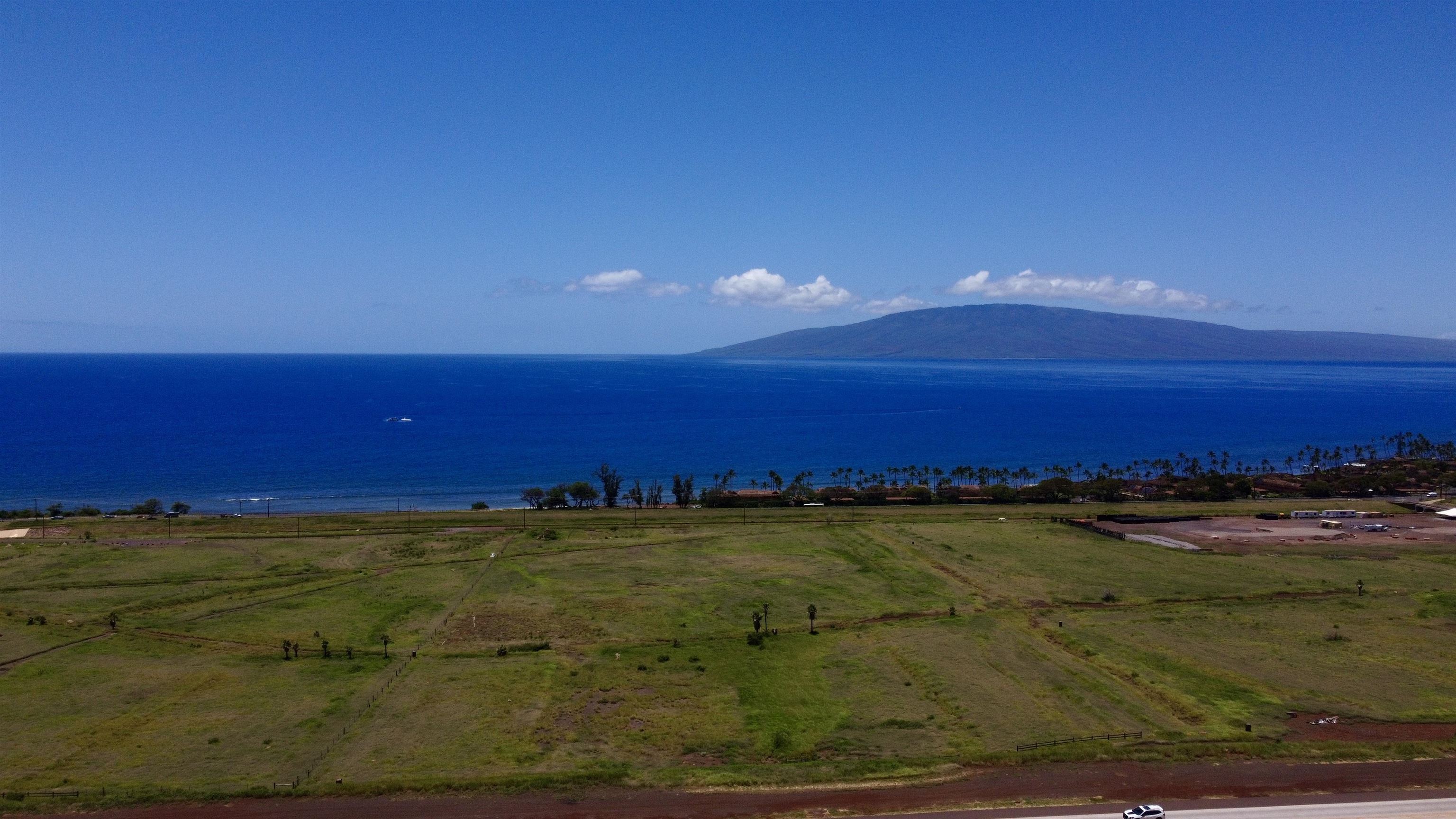 2020 Waianukole St Property Photo 8