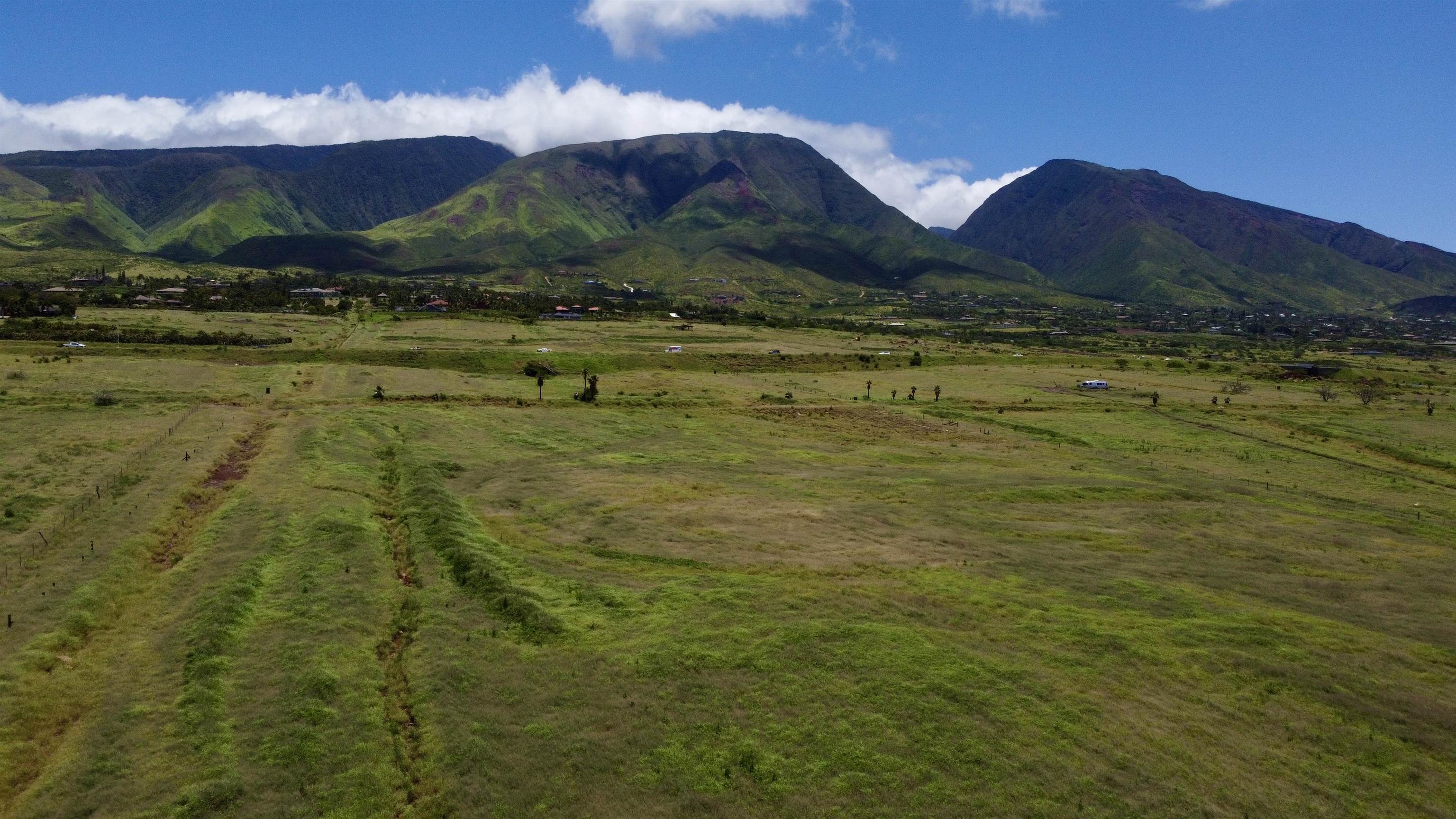 2020 Waianukole St Property Photo 13