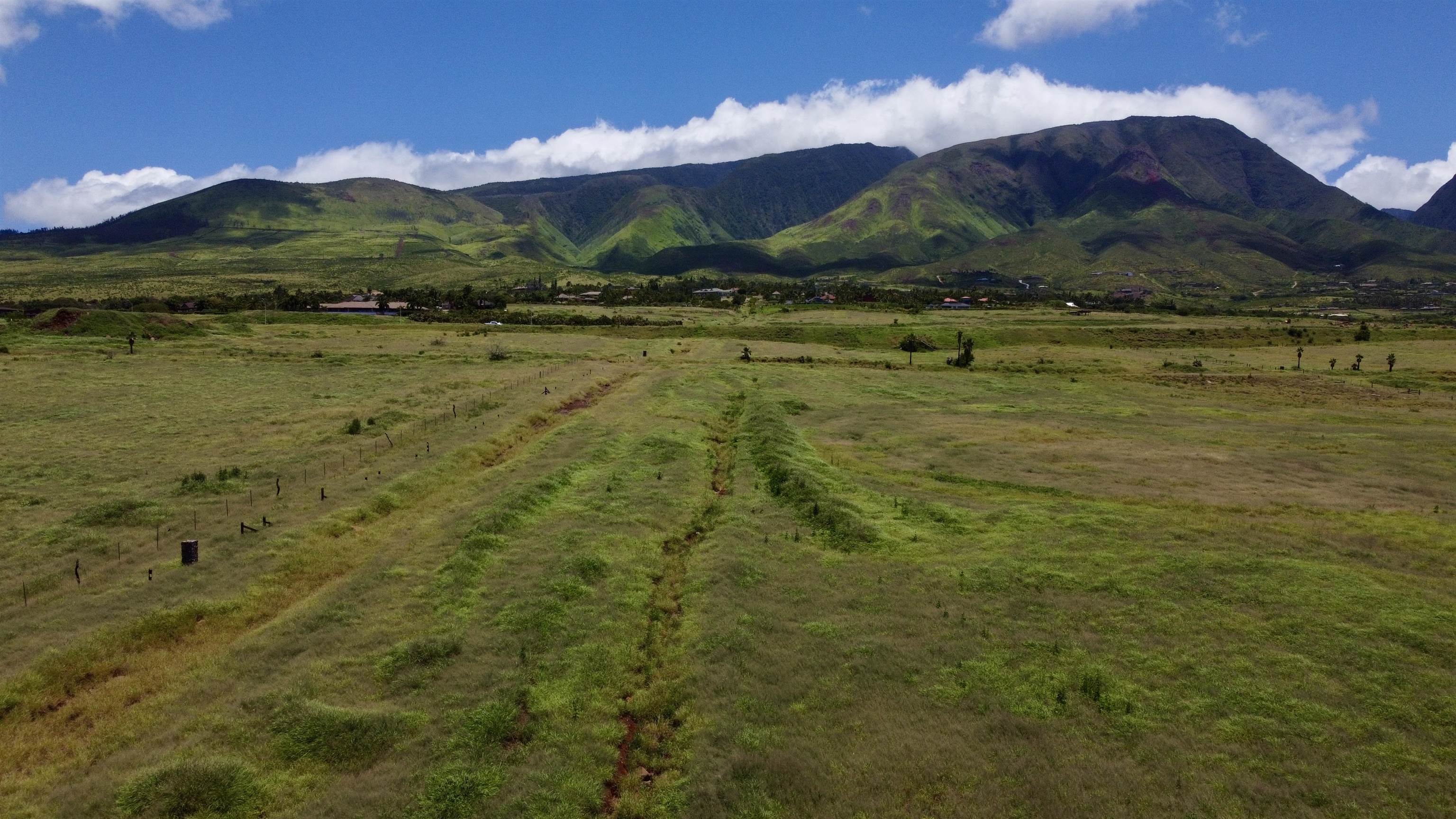 2020 Waianukole St Property Photo 15