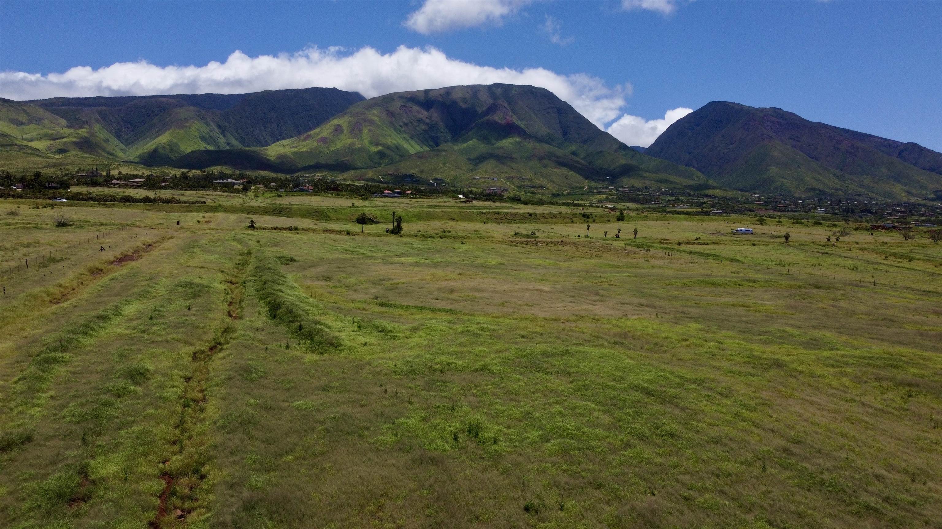 2020 Waianukole St Property Photo 16