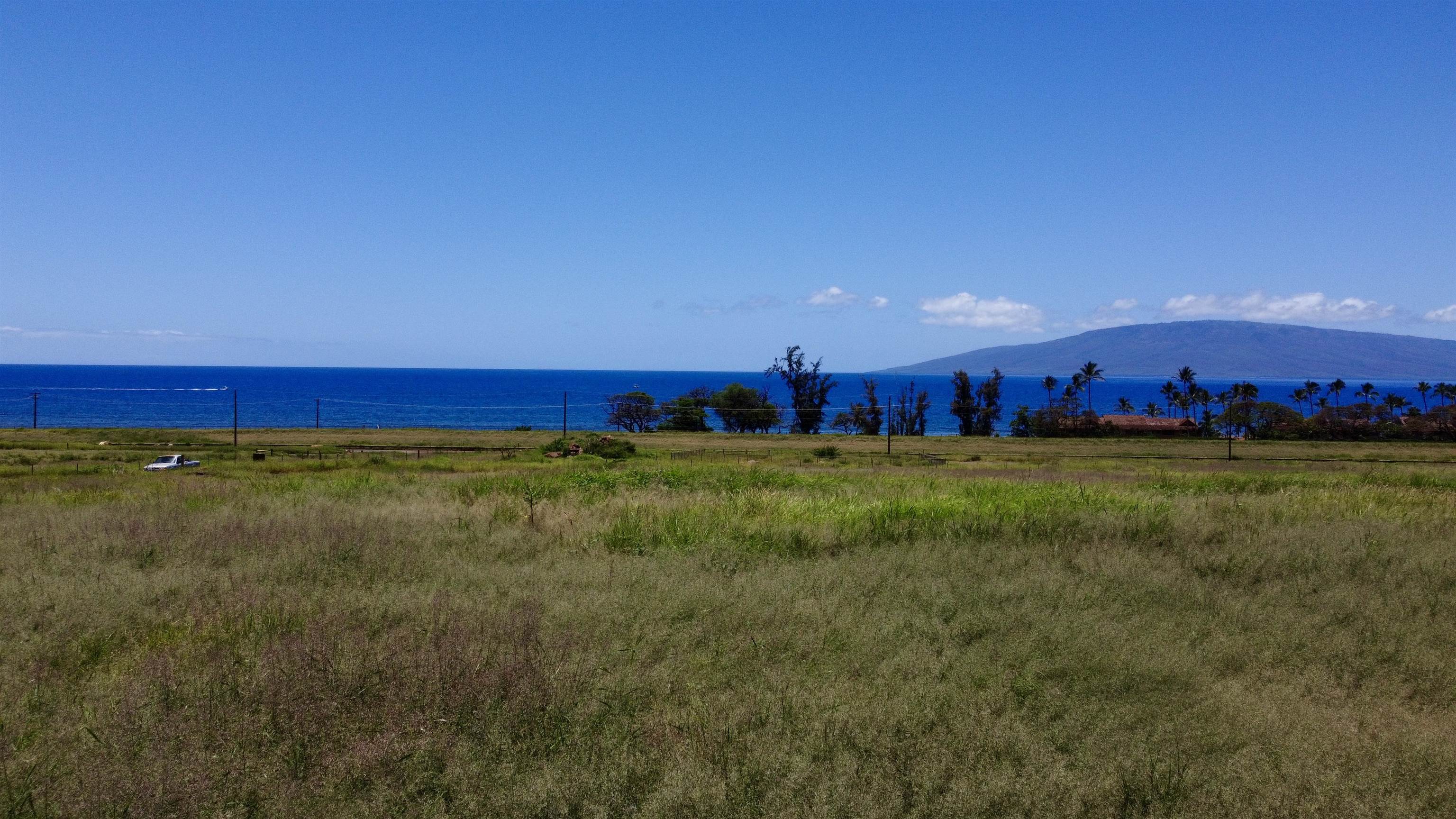 2020 Waianukole St Property Photo 21