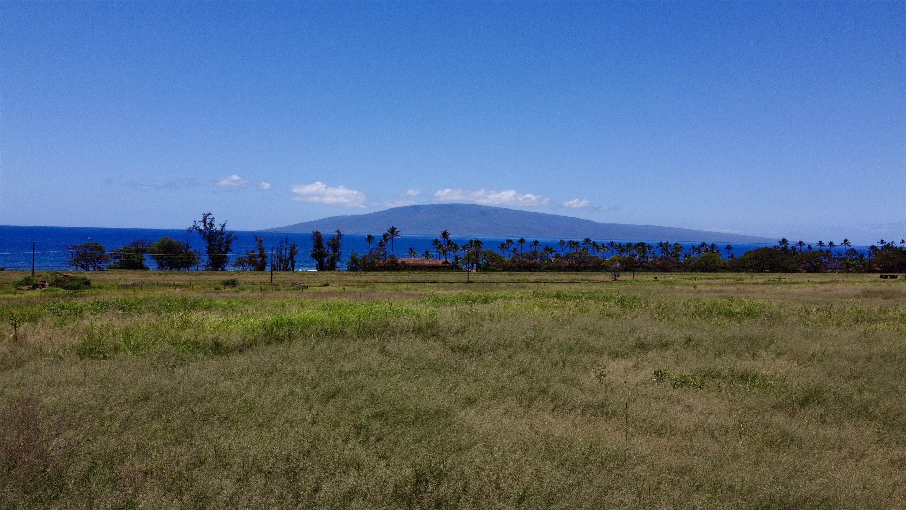 2020 Waianukole St Property Photo 23
