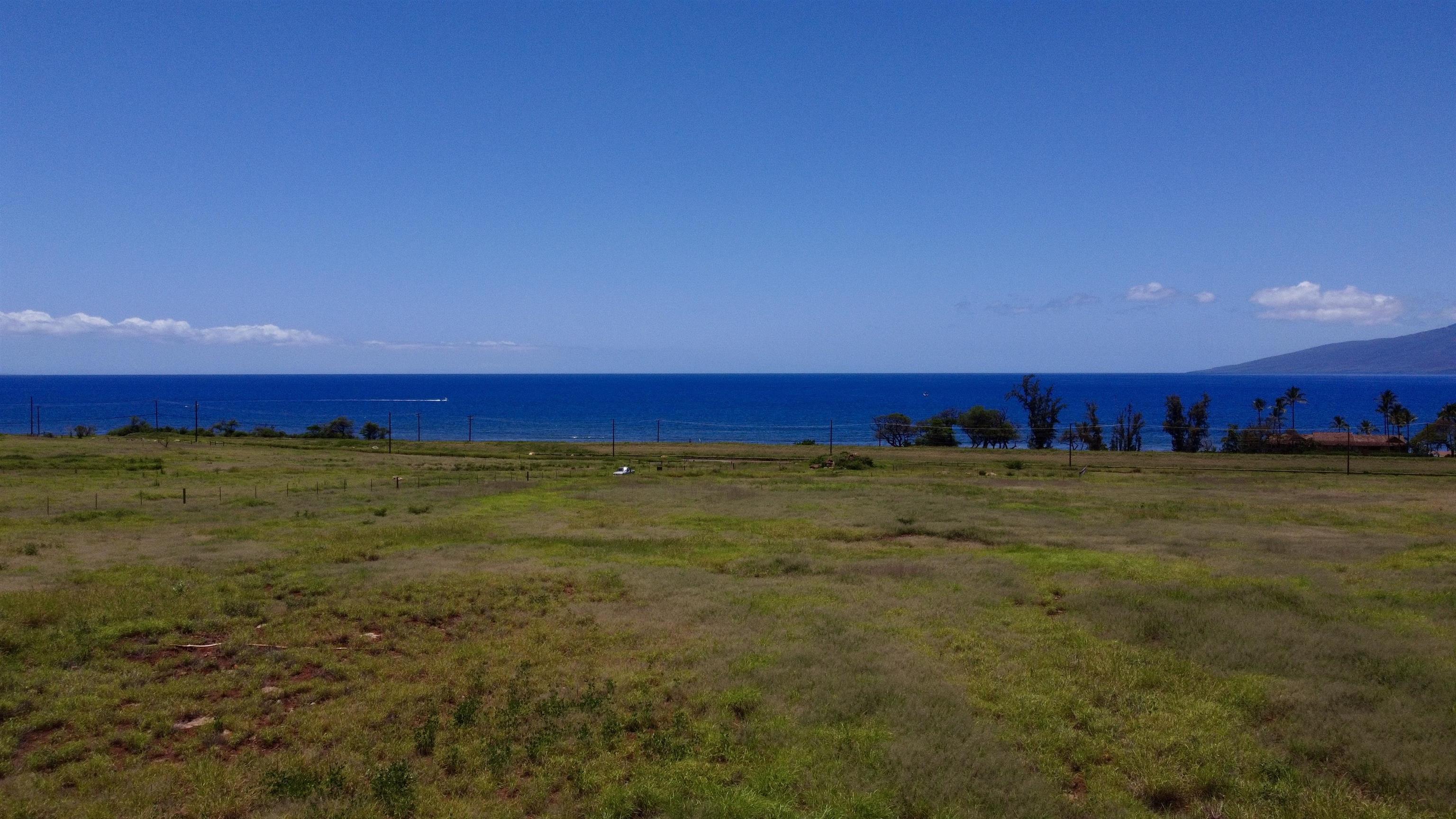 2020 Waianukole St Property Photo 25