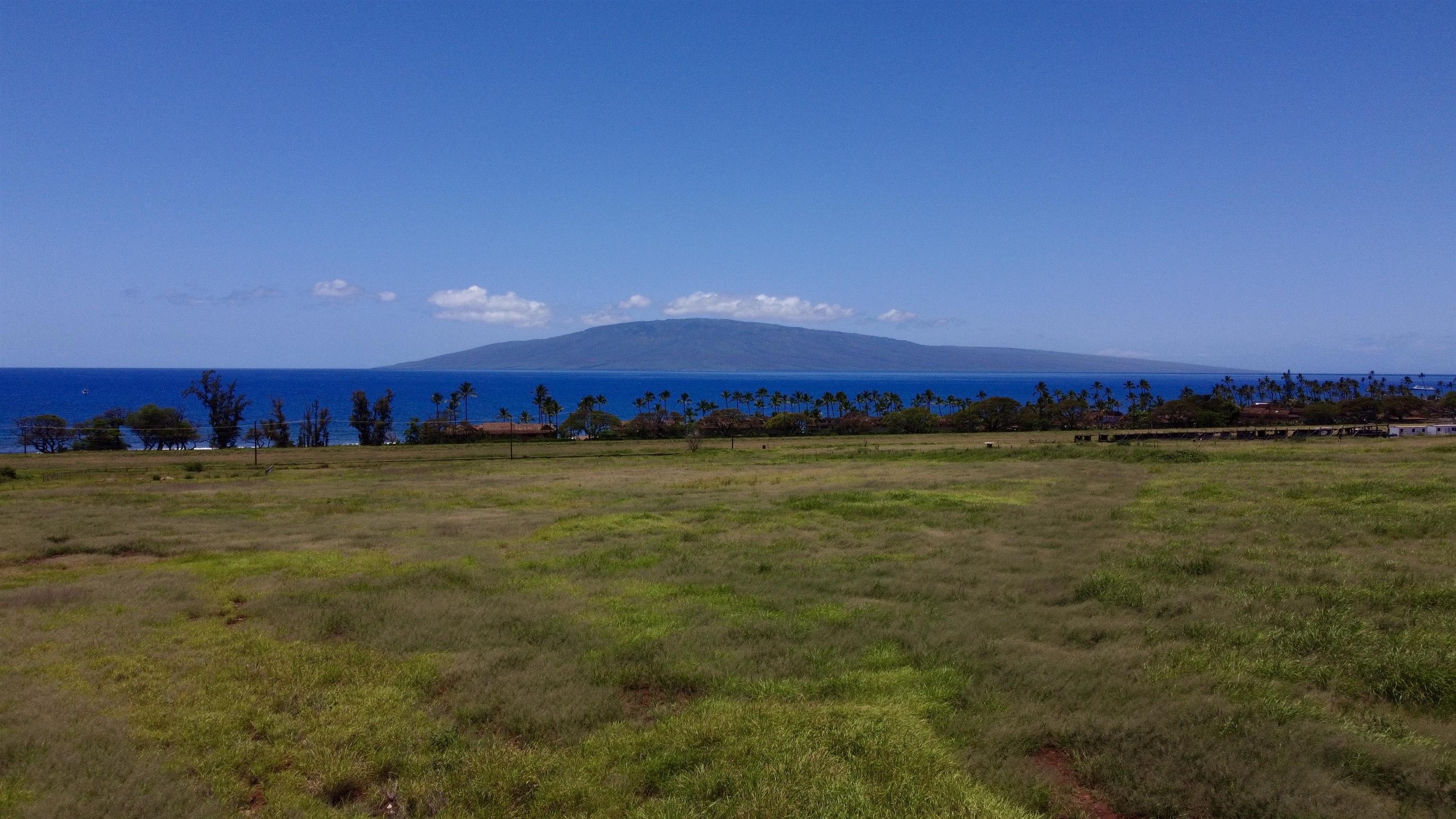 2020 Waianukole St Property Photo 26
