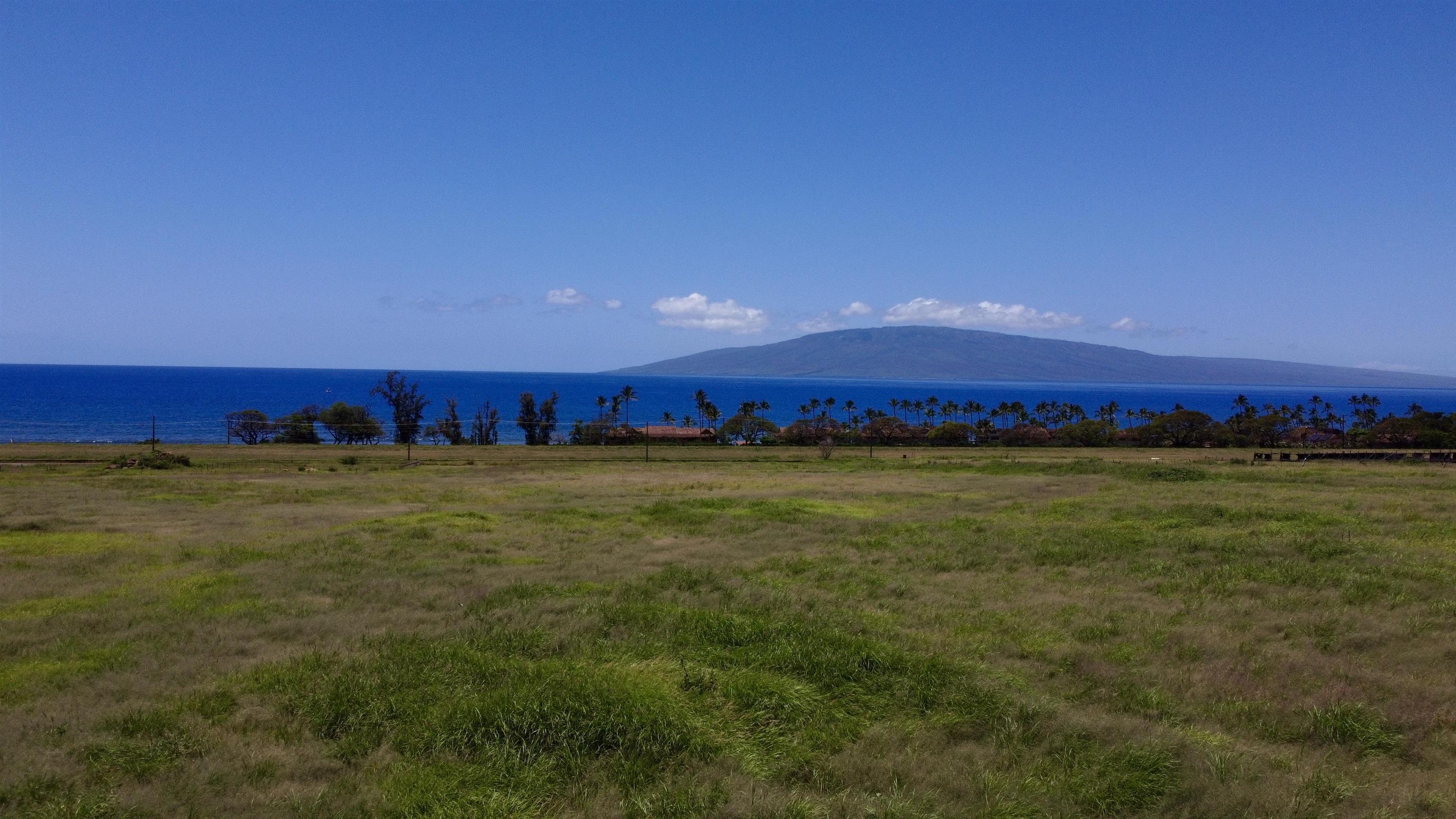 2020 Waianukole St Property Photo 27
