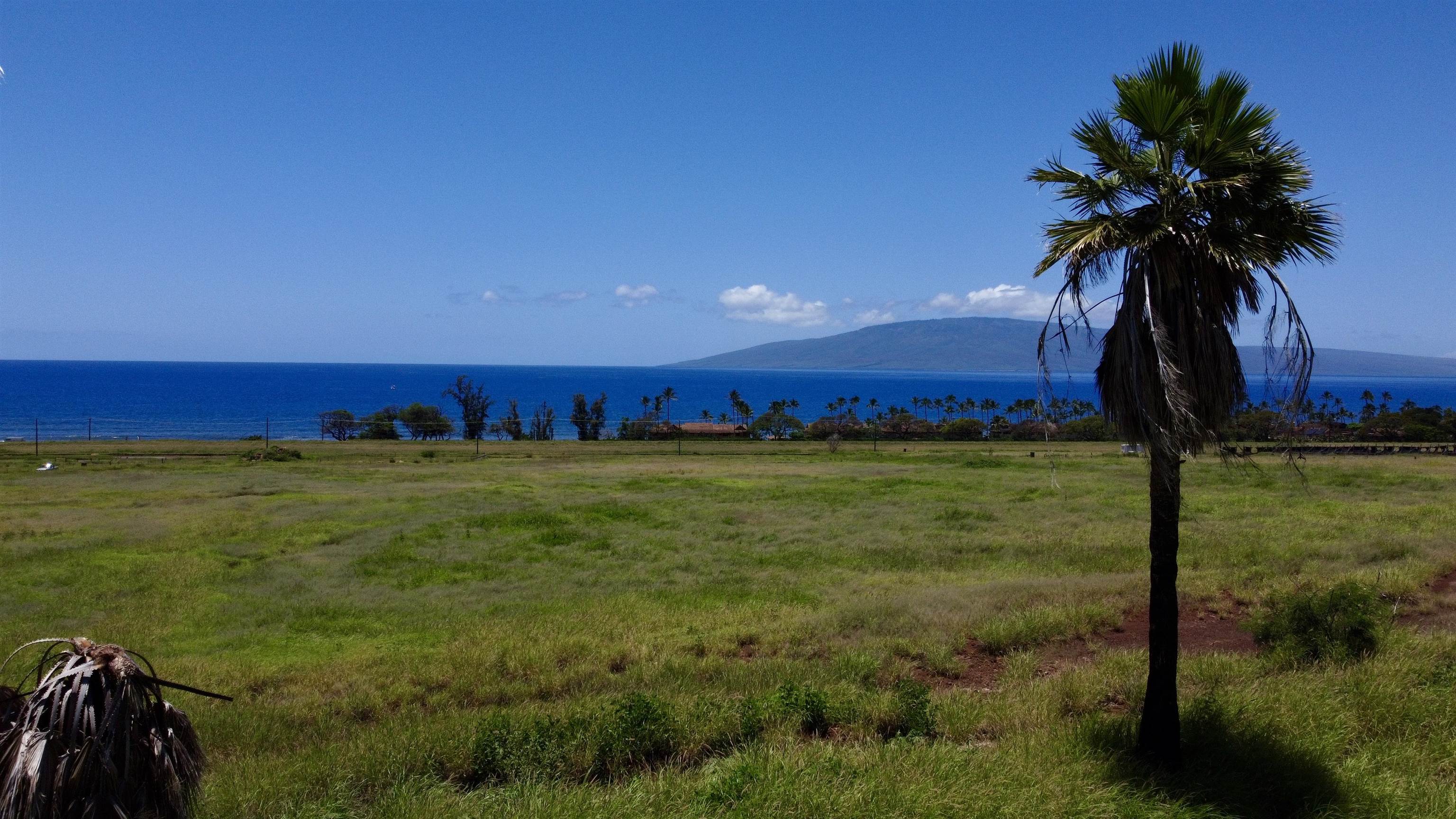 2020 Waianukole St Property Photo 28