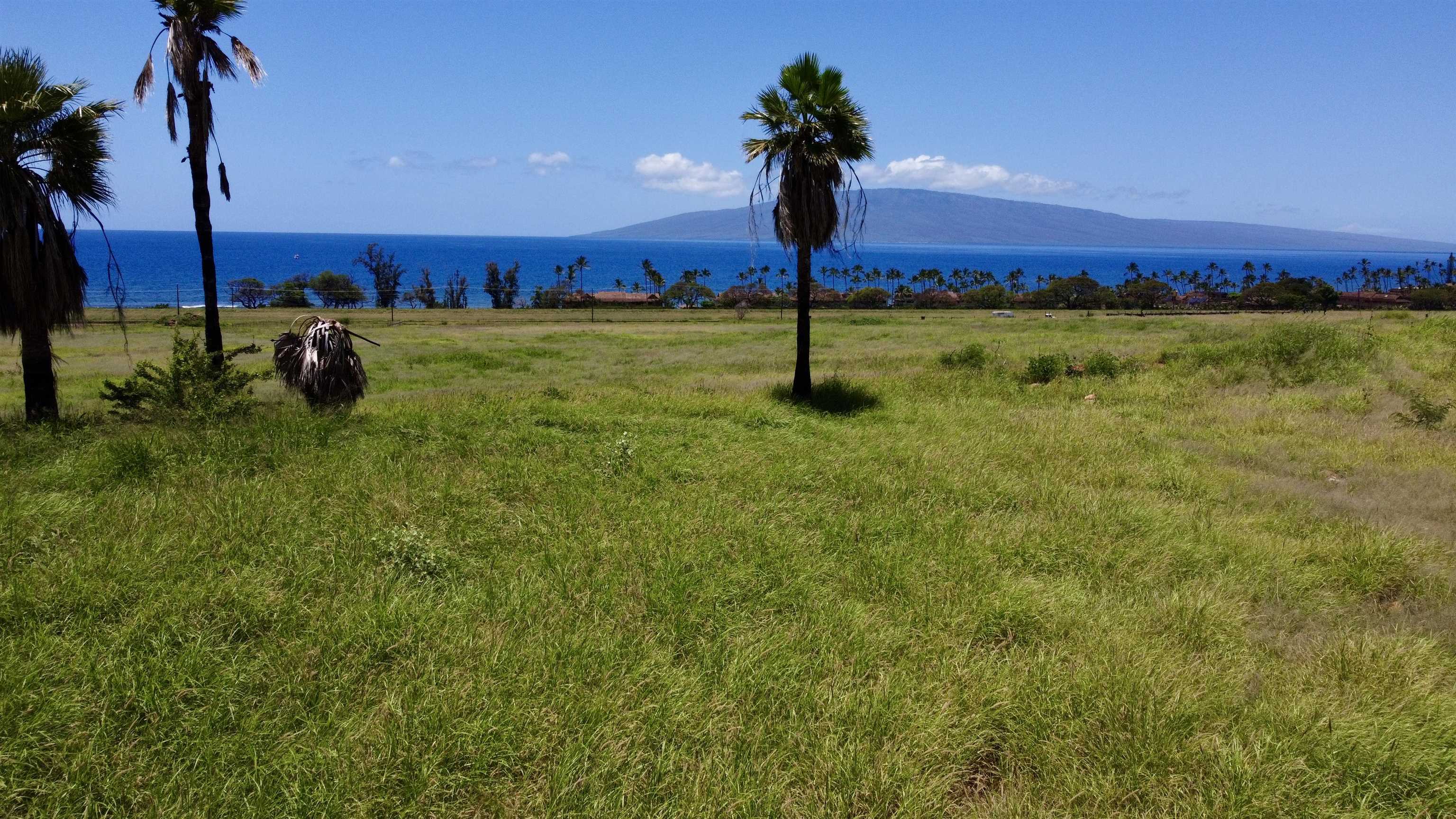 2020 Waianukole St Property Photo 29