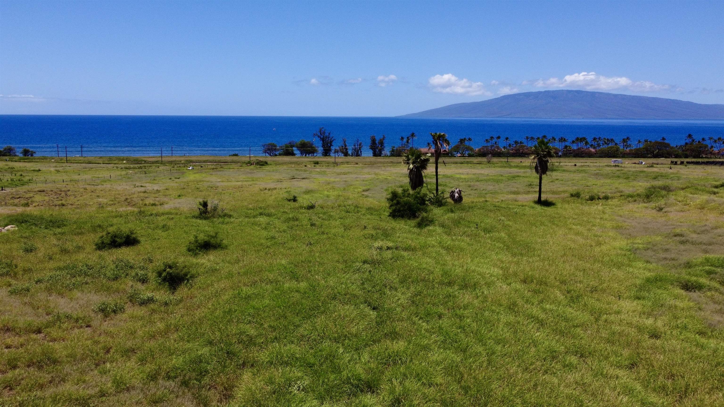 2020 Waianukole St Property Photo 30