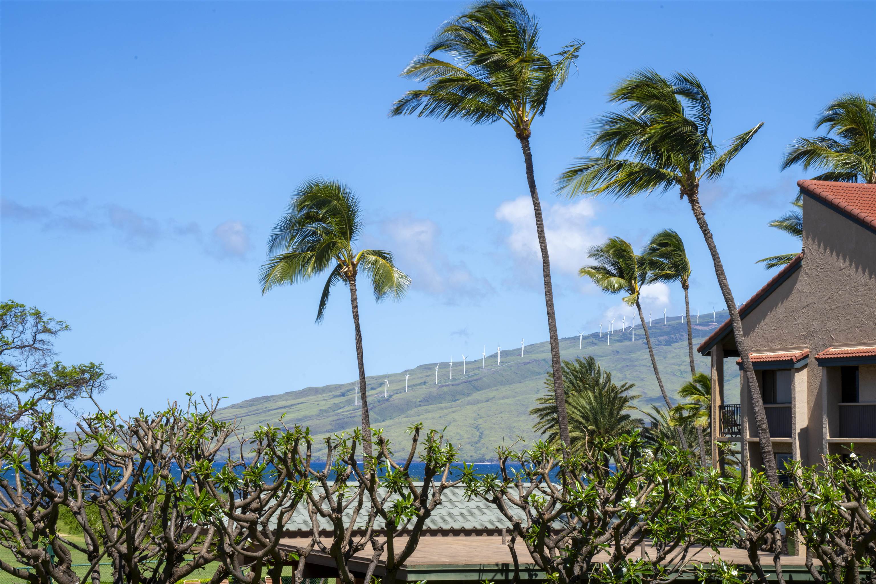 940 S Kihei Rd Property Photo 41